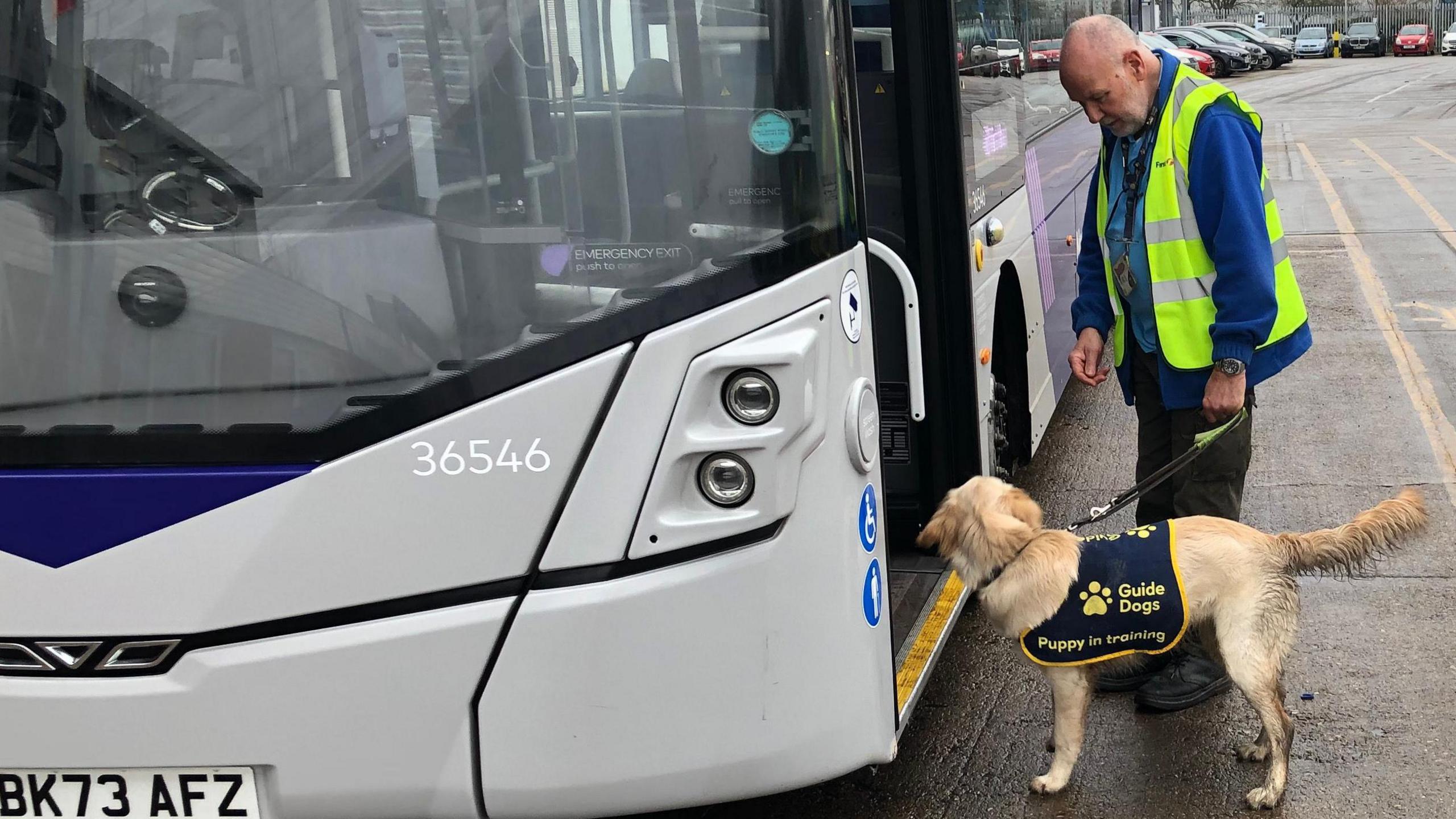 Richard Bussien, a man wearing a blue top with a blue fleece and hi-vis jacket. He is stood with a golden retriever dog who are both getting on a bus.