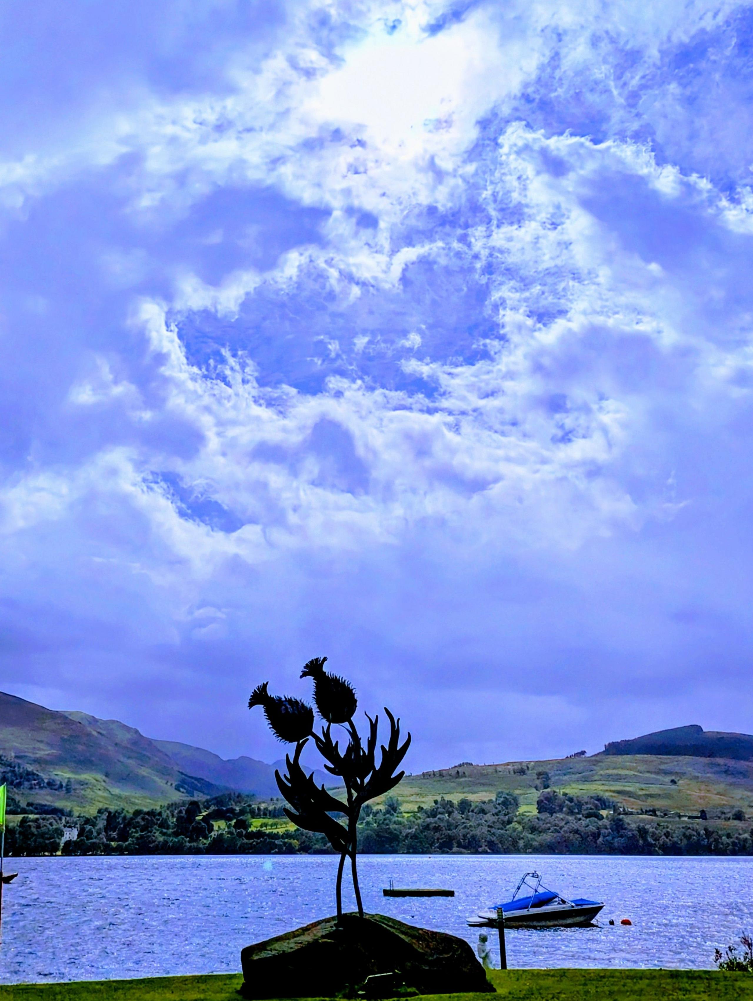 Shadow of a thistle in front of a loch with a small blue boat floating on it below a bright blue sky 