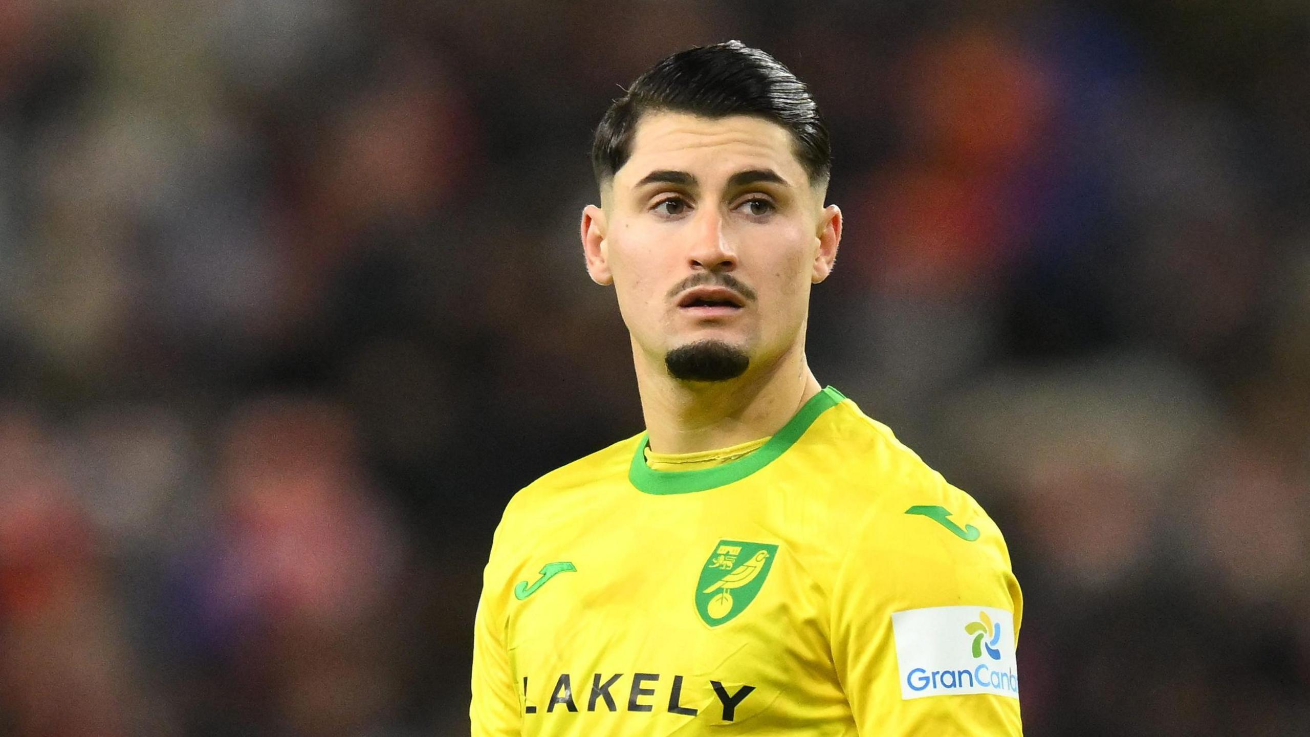 Norwich City's Borja Sainz