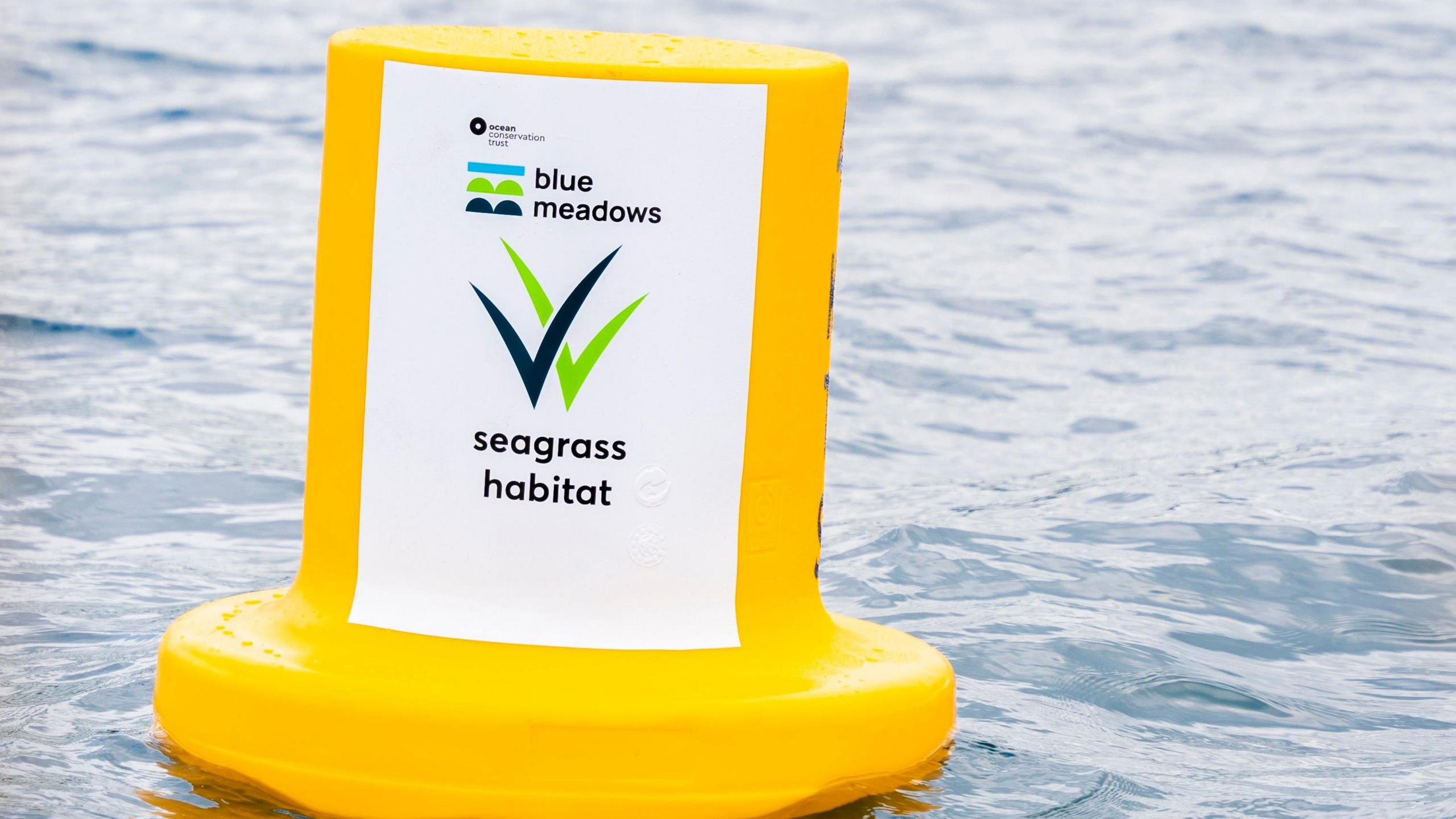 A yellow buoy on the sea has a white label with black and green ticks and the words blue meadows and seagrass habitat.