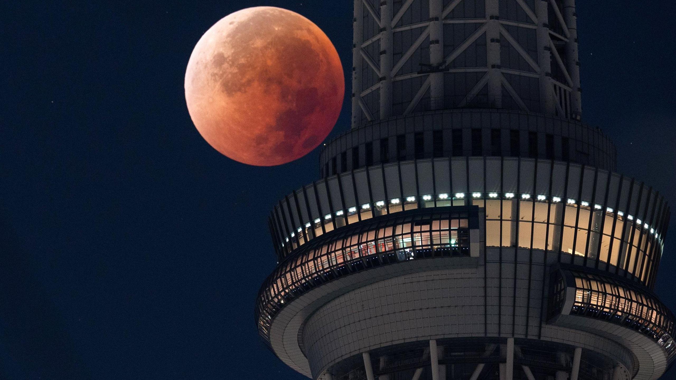 Blood Moon in Tokyo, Japan.