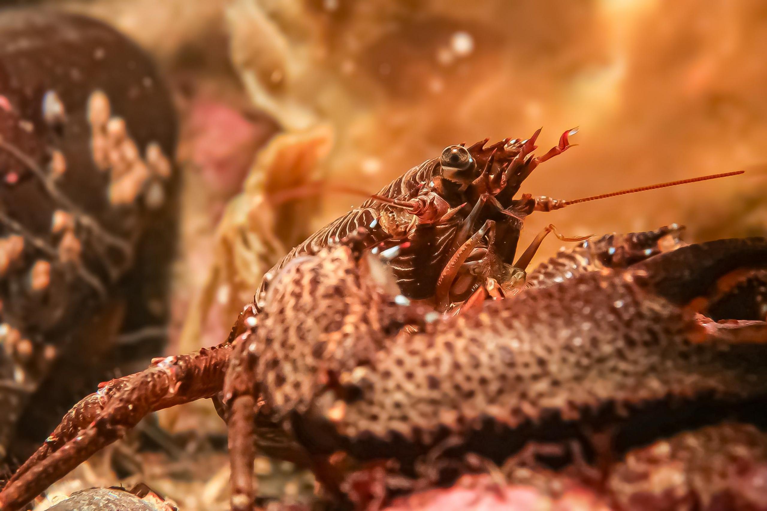 Your pictures of Scotland: Photographs from around the country - BBC News