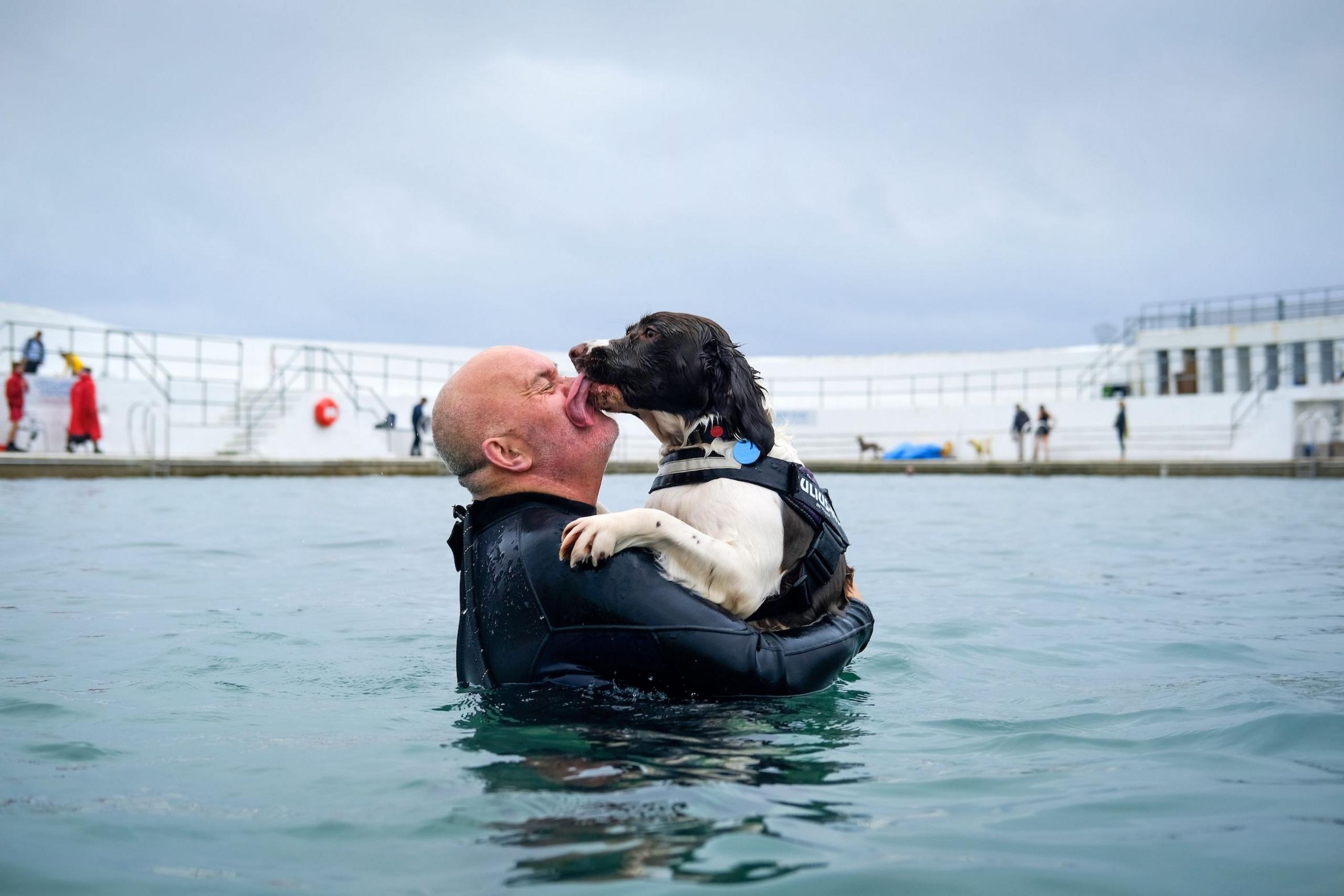 One owner - a bald, middle-aged man in a wetsuit - gets licked in the face by his cocker spaniel while he stands holding the dog in the middle of the pool.