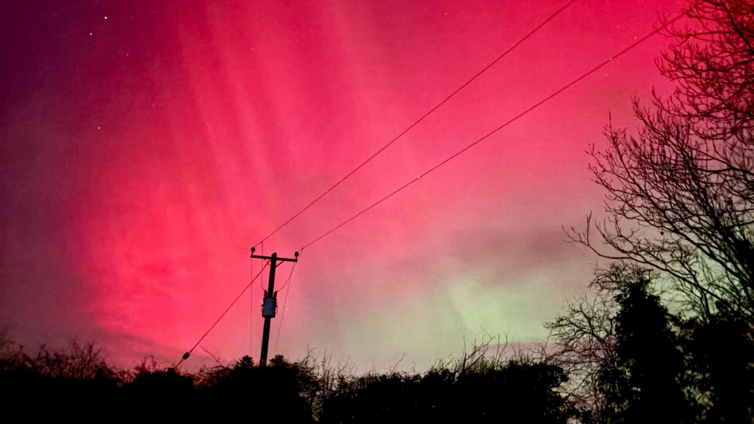 The Northern Lights lighting up the sky in shades of pink and green. A row of trees and an electricity pole are visible at the bottom of the image. 