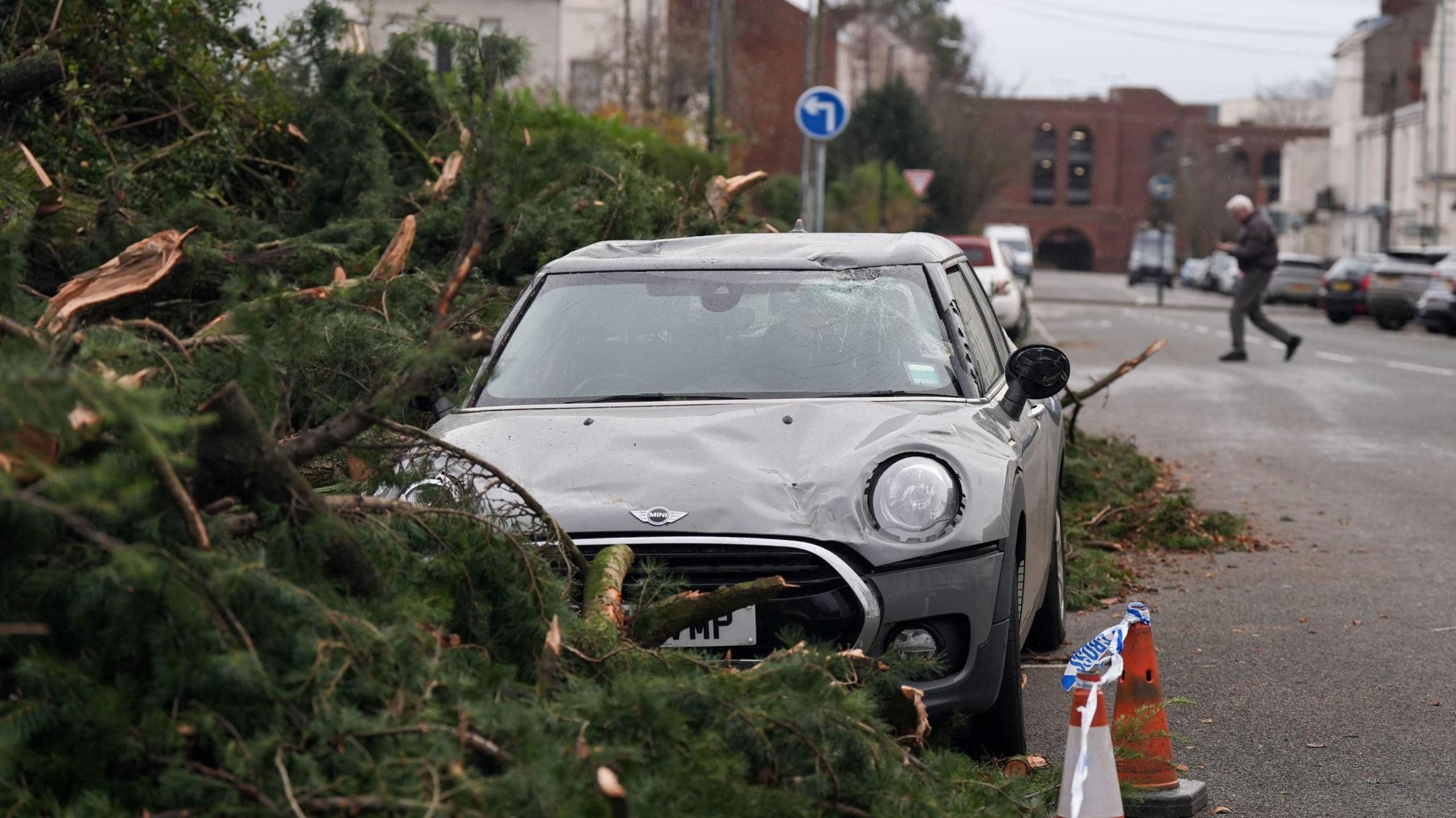 A mini damaged by the fallen tree. The mini has a partly damaged bonnet and smashed windscreen. It is surrounded by the foliage of the fallen tree and there are two orange and white cones and some police tape next to it. 