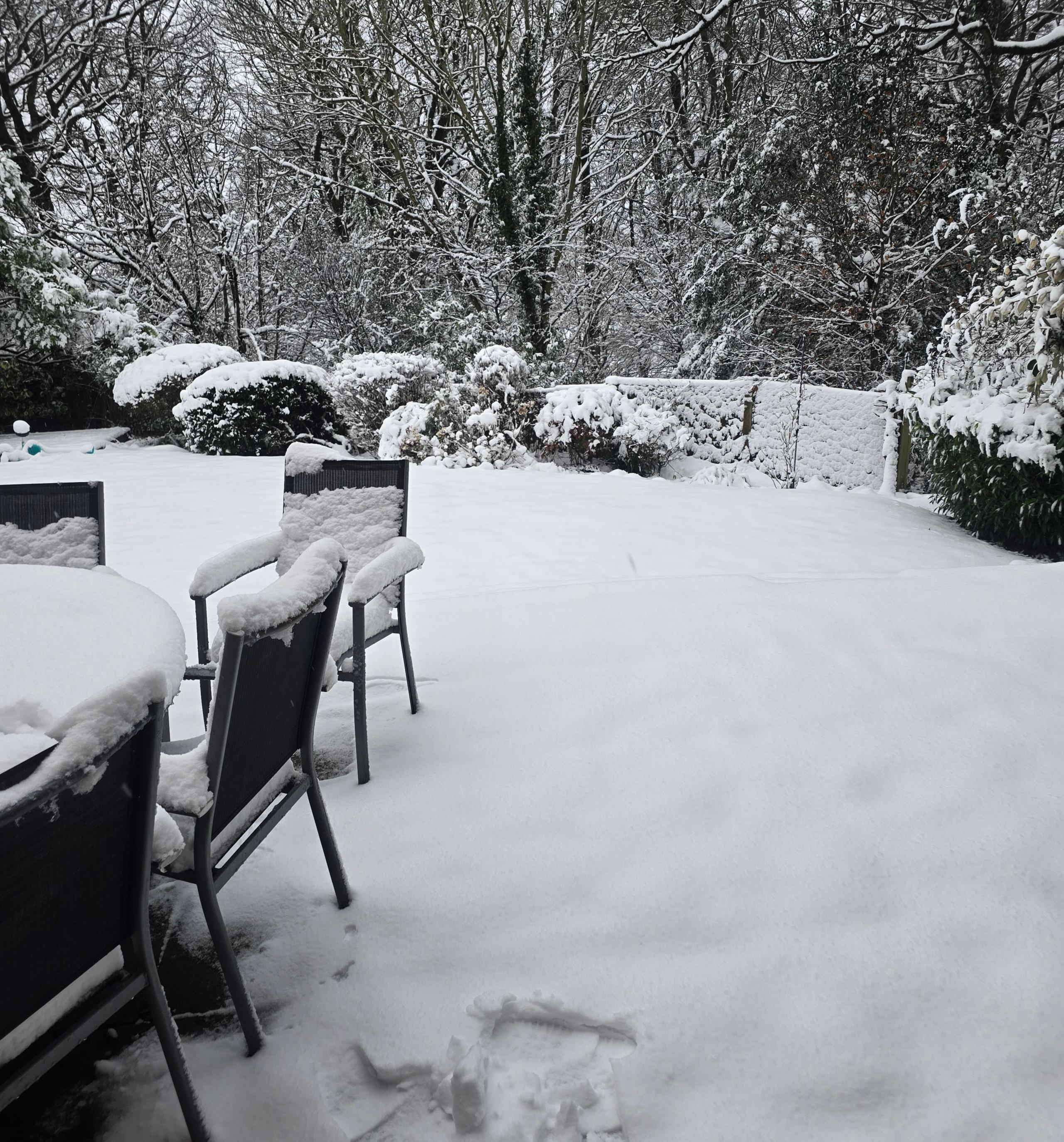 A snow covered back garden,