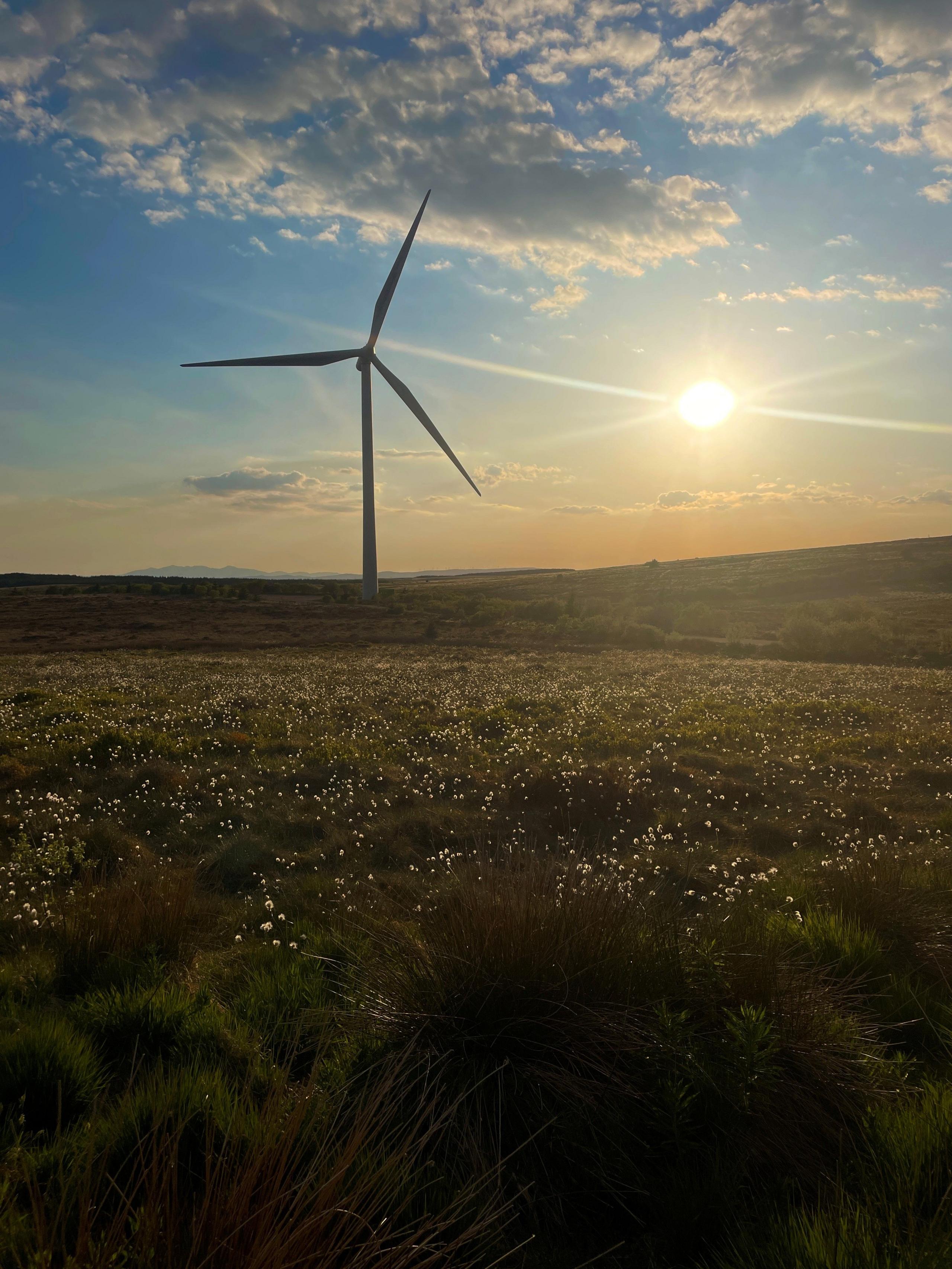 A windfarm as the sun starts to set