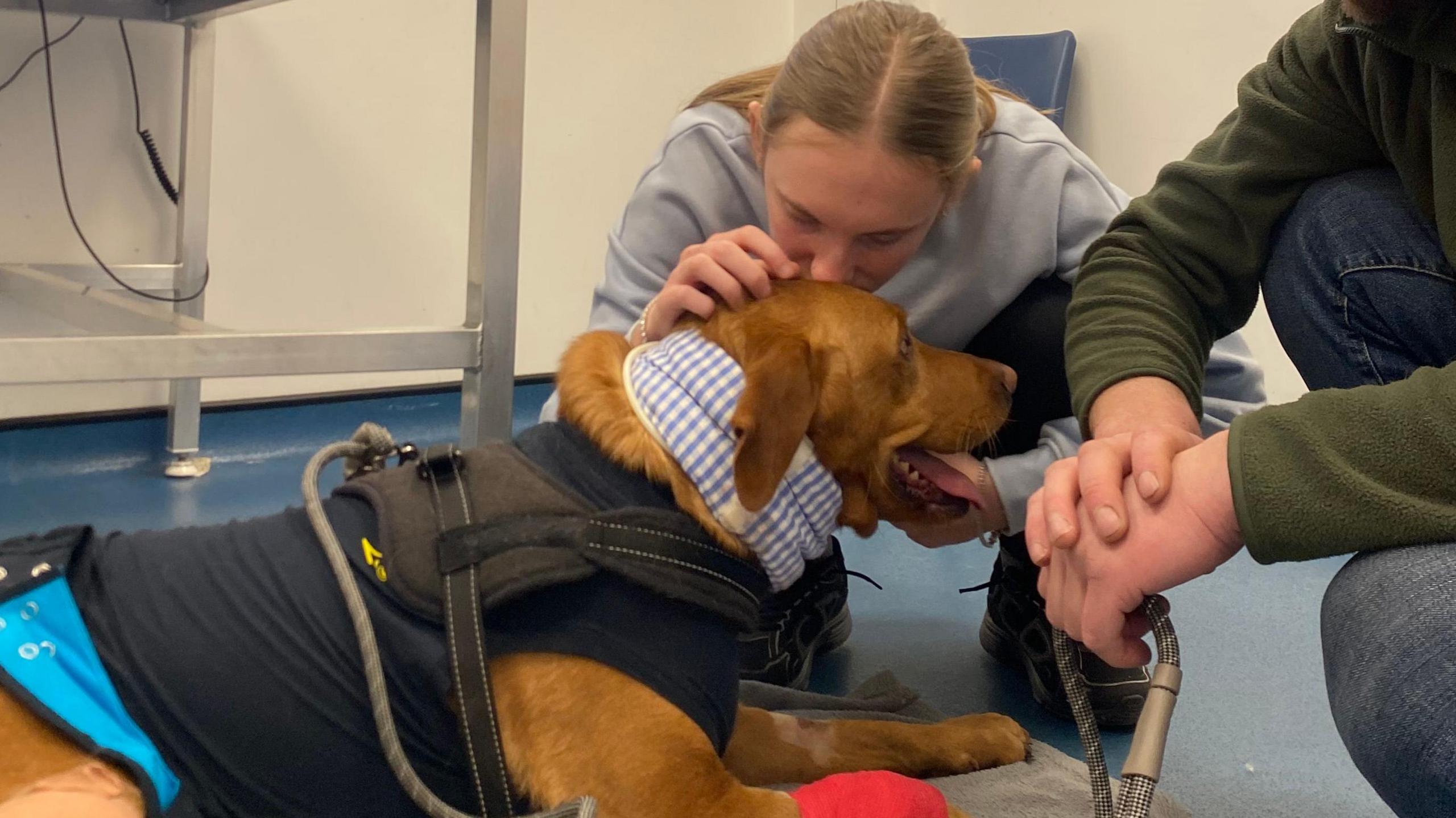 Bertie lying on the floor at the vets. He is wearing a padded collar, jacket and has a red dressing on his front right paw. Two people are kneeling down next to him. One of them is a woman with her hair tied back and she is kissing Bertie above his left ear.