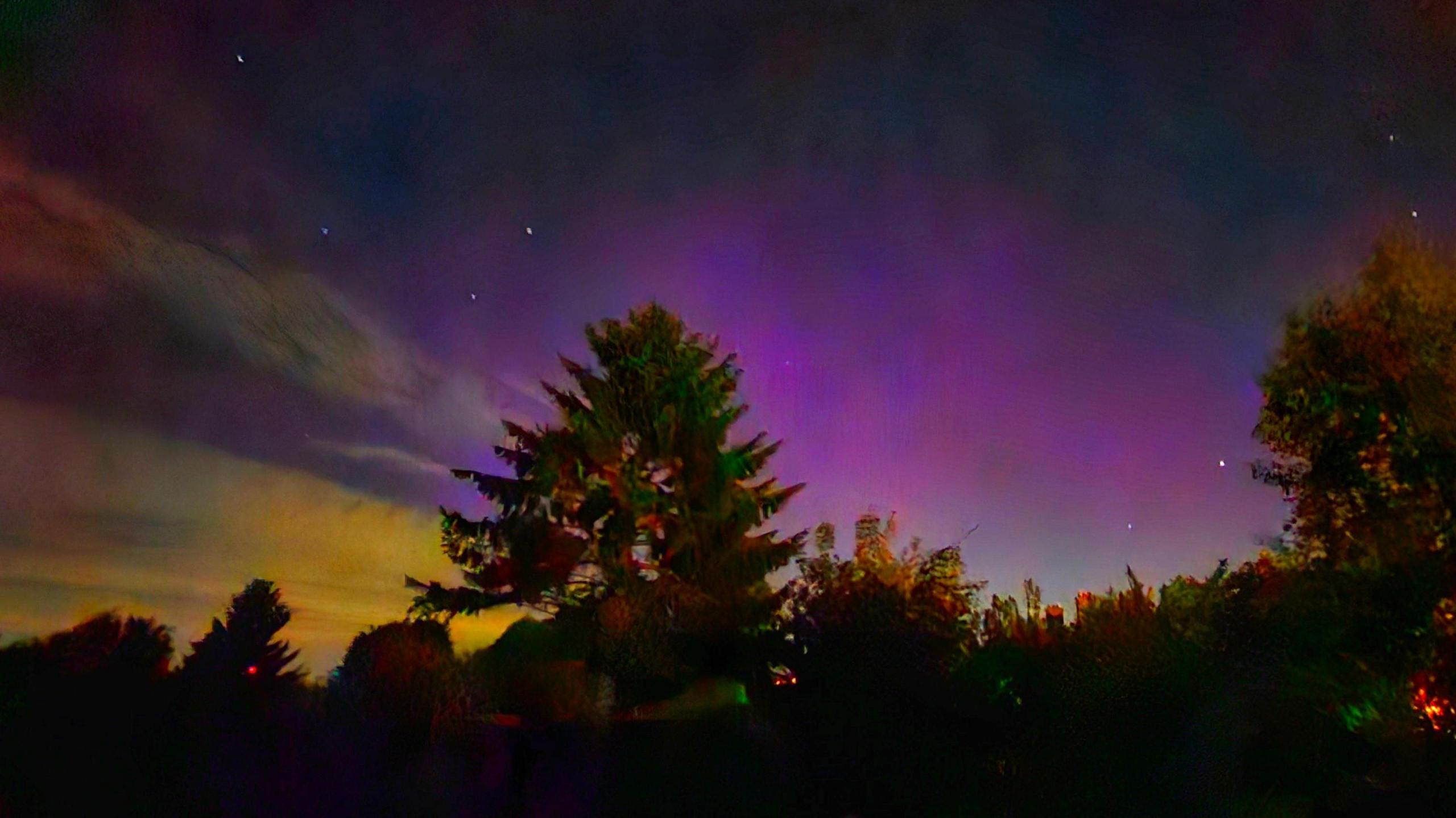 A brightly coloured sky with semi-silhouetted trees seen in the foreground