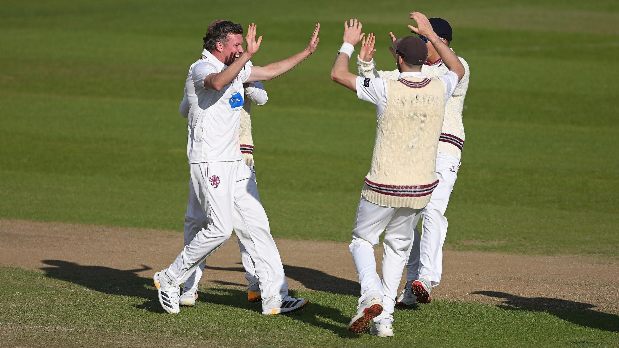 Somerset celebrate taking a wicket