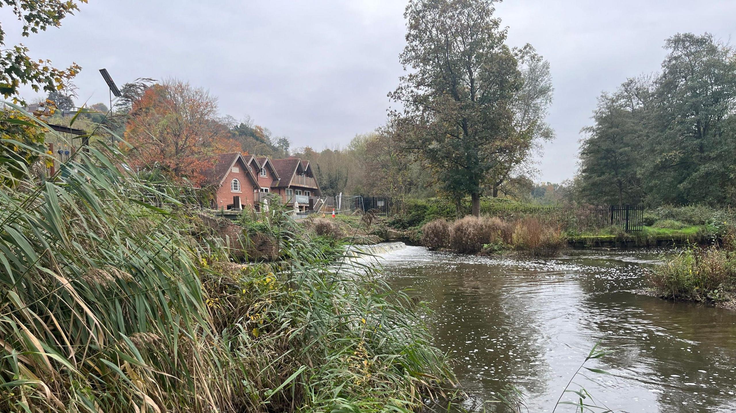 The river flows quickly and a gate blocks access where the bridge collapsed