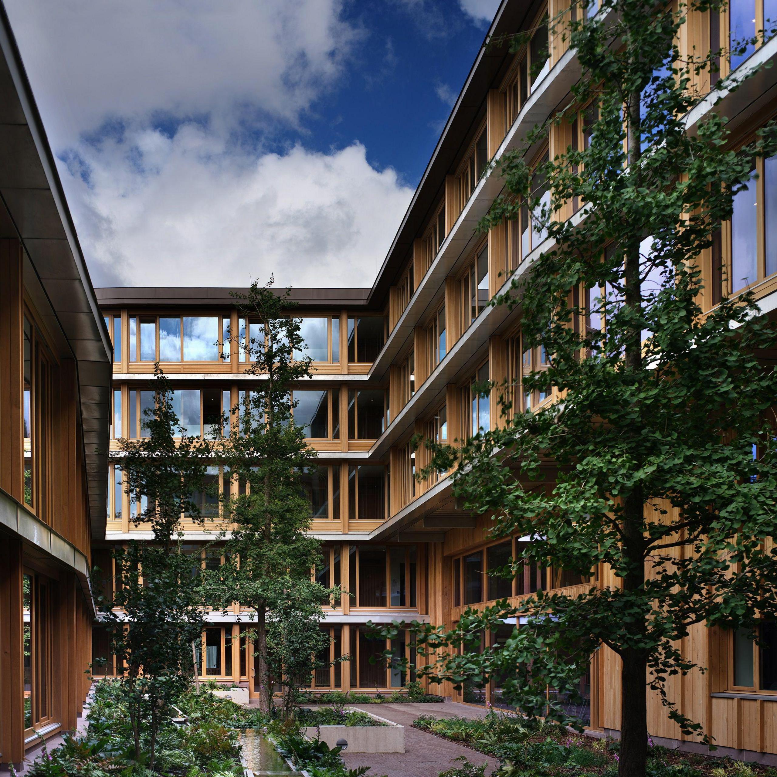 Courtyard containing several tall trees and other plants, surrounded by three timber-and-glass sides of the five-storey building