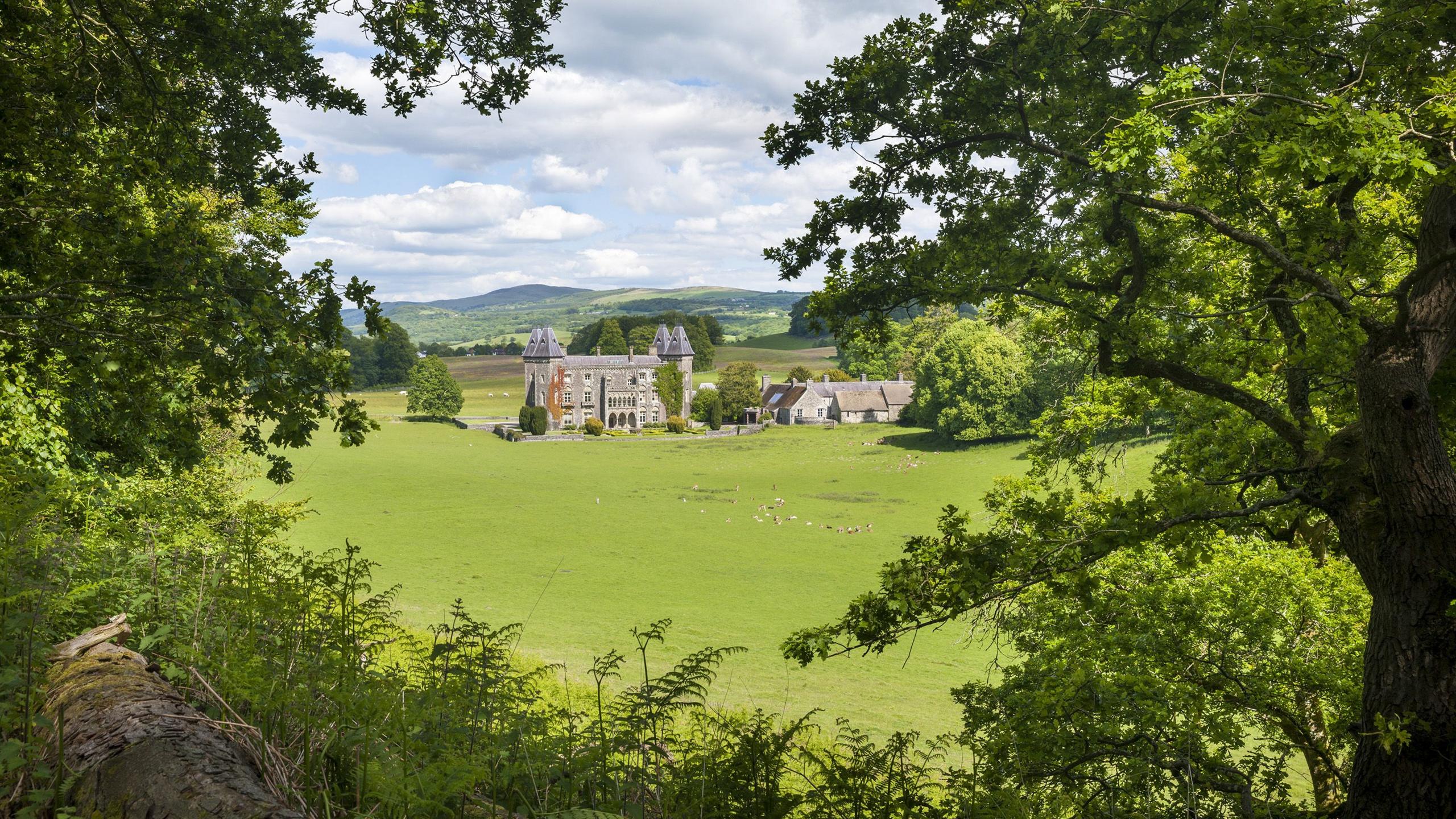 Tŷ Newton, Dinefwr