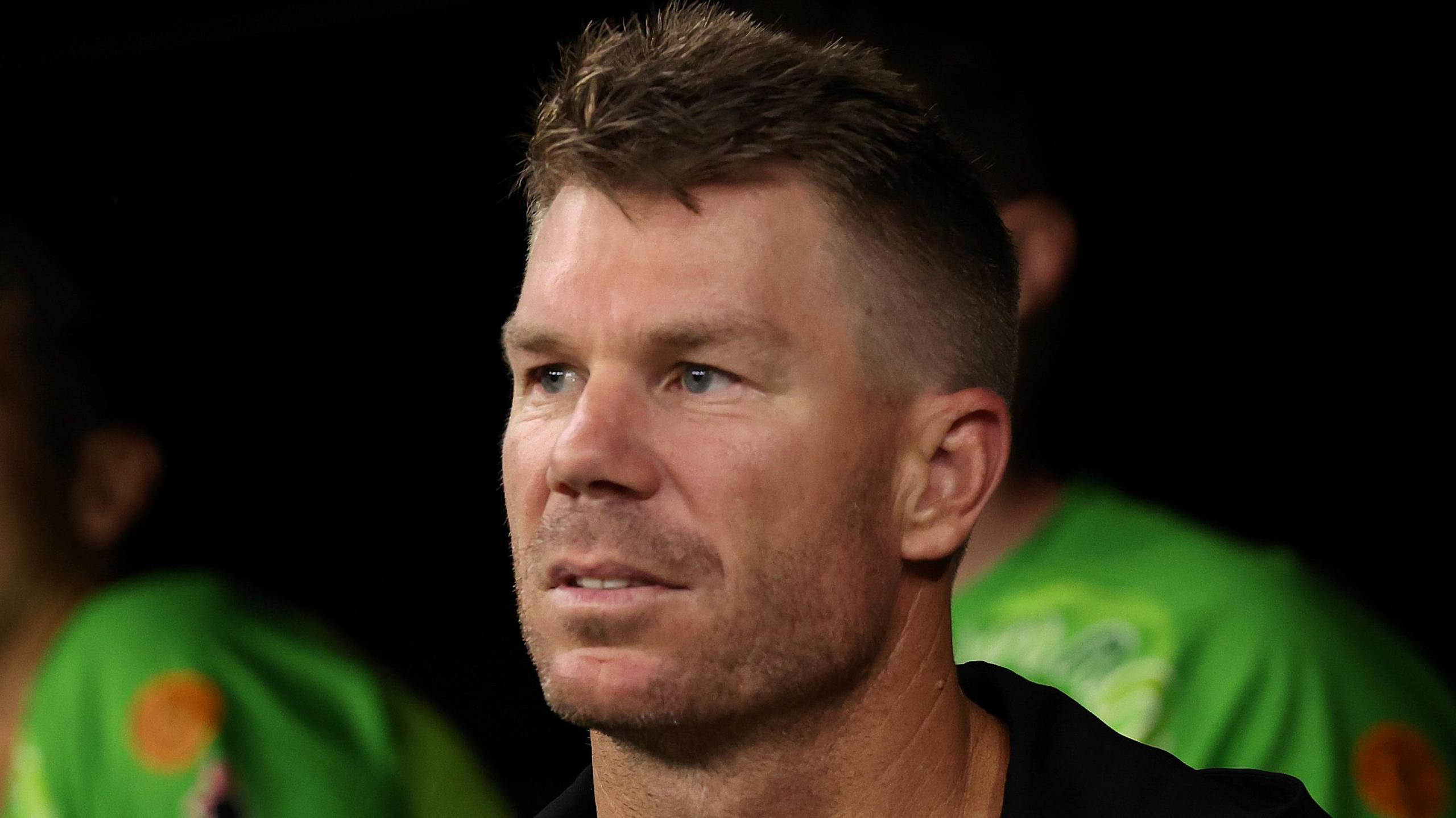 David Warner stock image