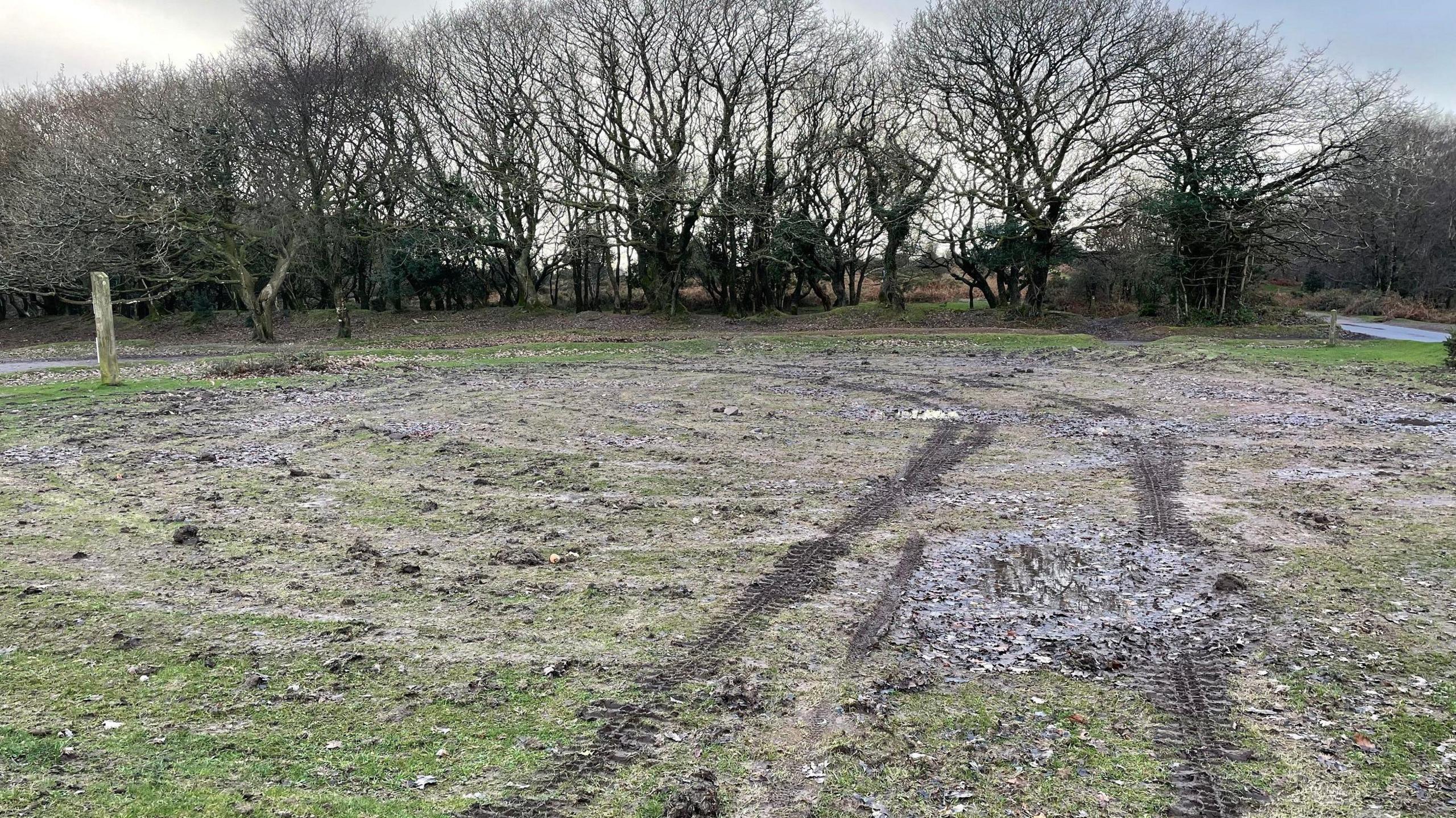 Damaged grassland with tyre marks 