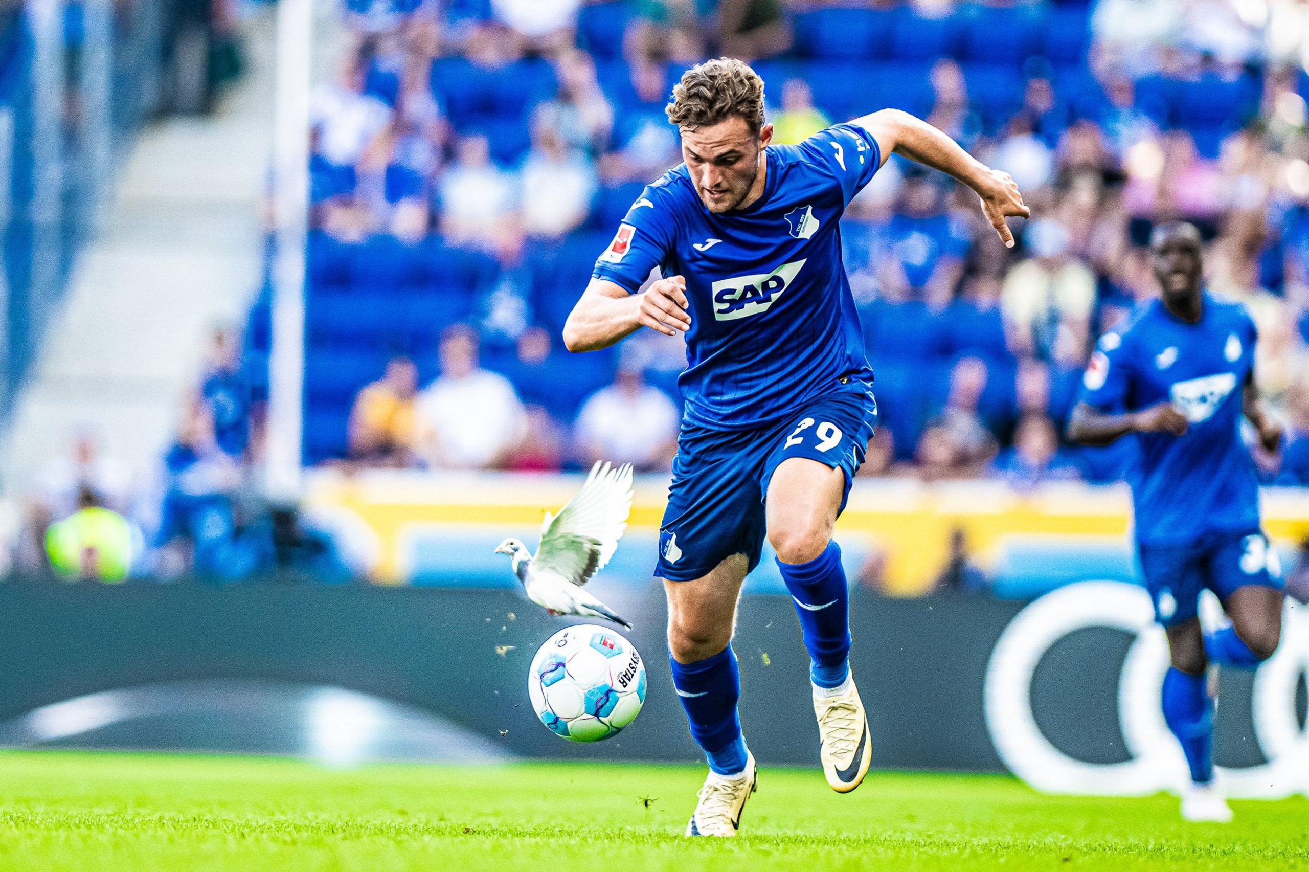 Jacob Brunn Larsen of TSG 1899 Hoffenheim with the dove of peace at their game vs Holstein Kiel on Aug. 24, 2024