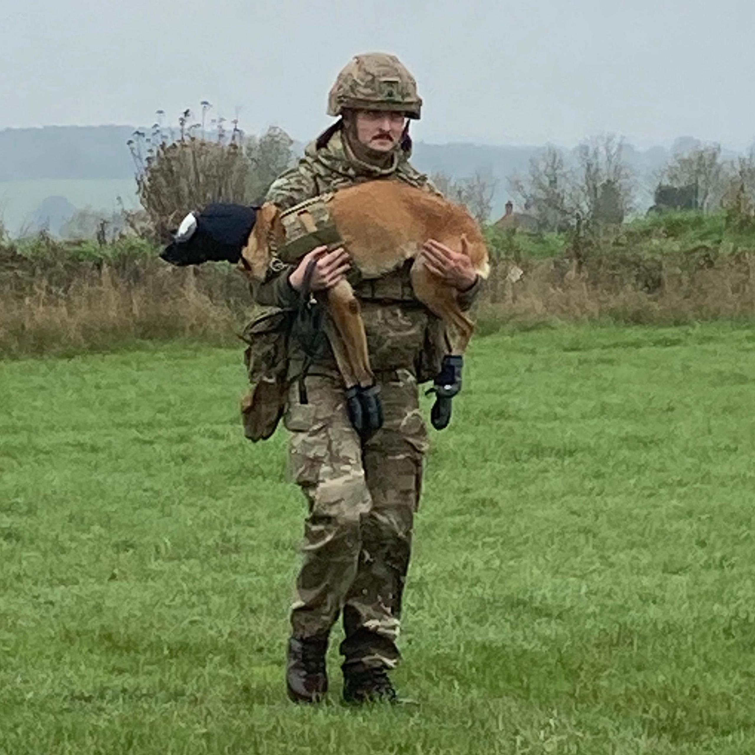 A soldier in full kit and helmet carrying a dog with goggles and boots across a field