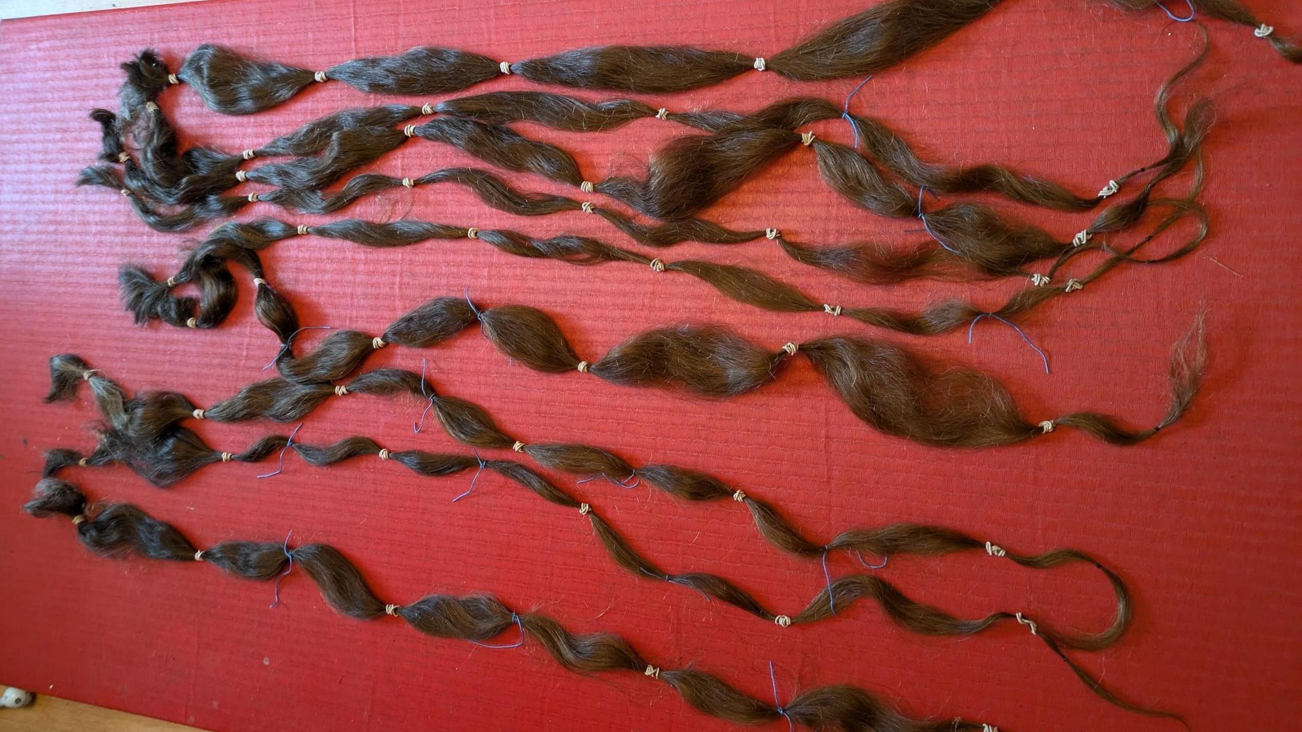 Nine strands of brown hair laid out on a red table. The hair has small hair ties along them.