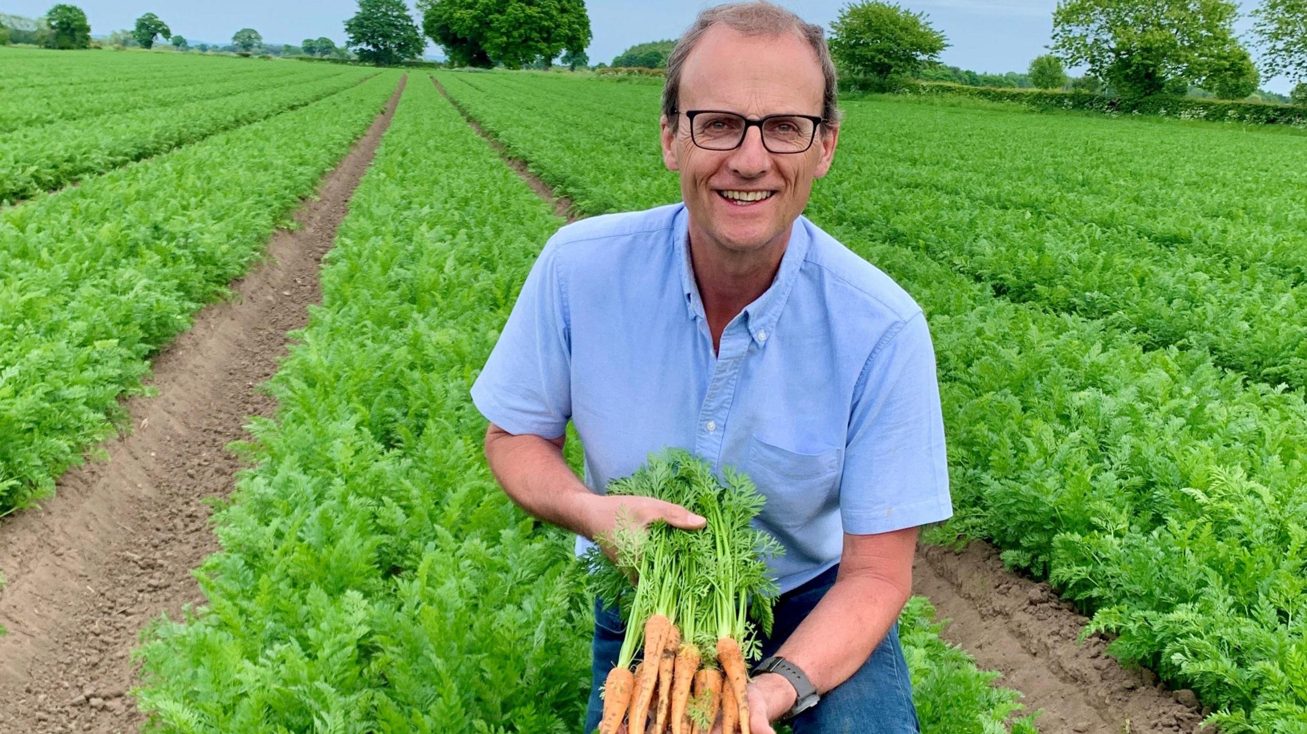 smiling man in a blue shirt and glasses, kneeling in a carrot field and holding up some freshly dug-up carrots.