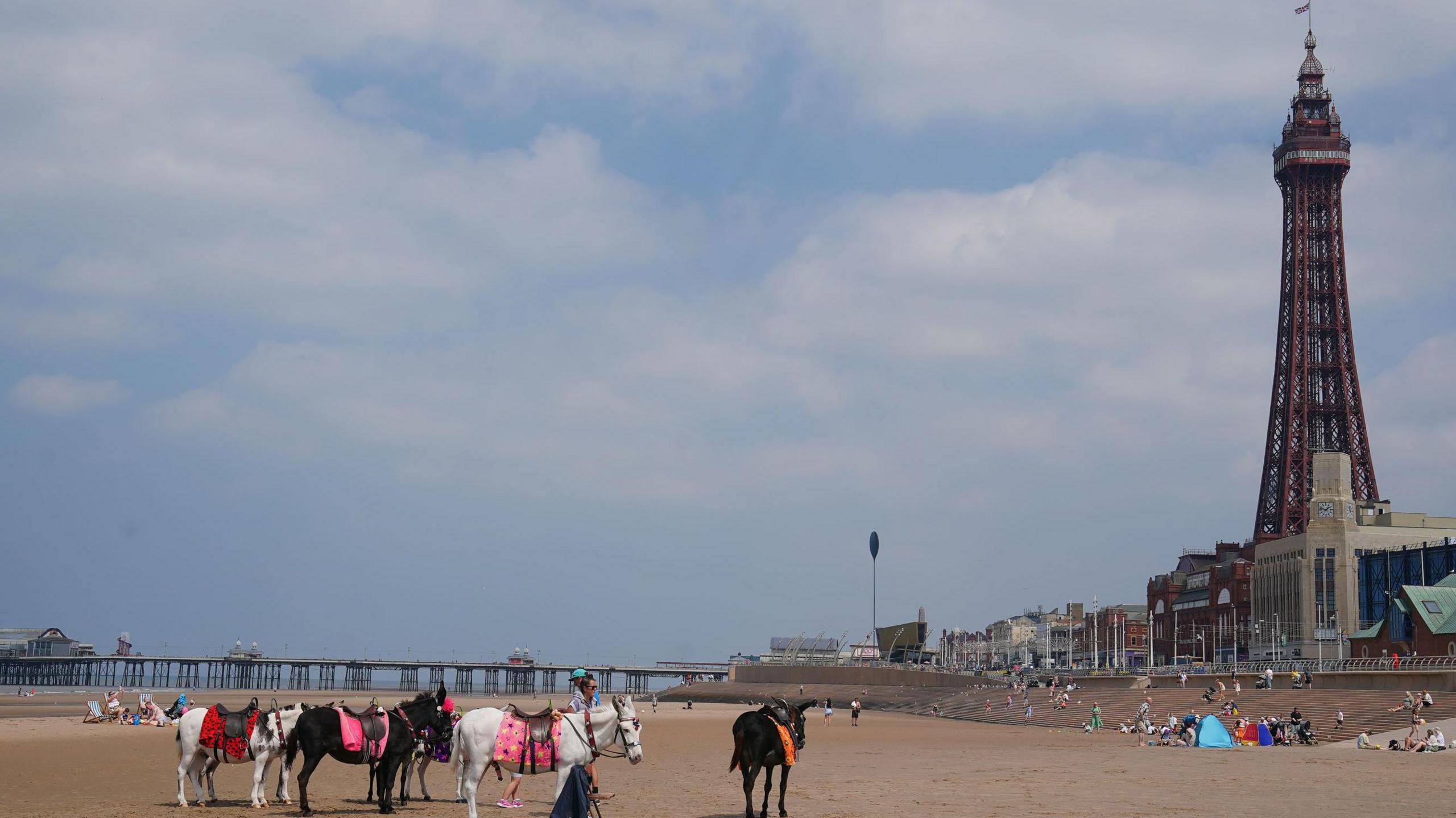 Donkeys on Blackpool beach, with Blackpool Tower in the background