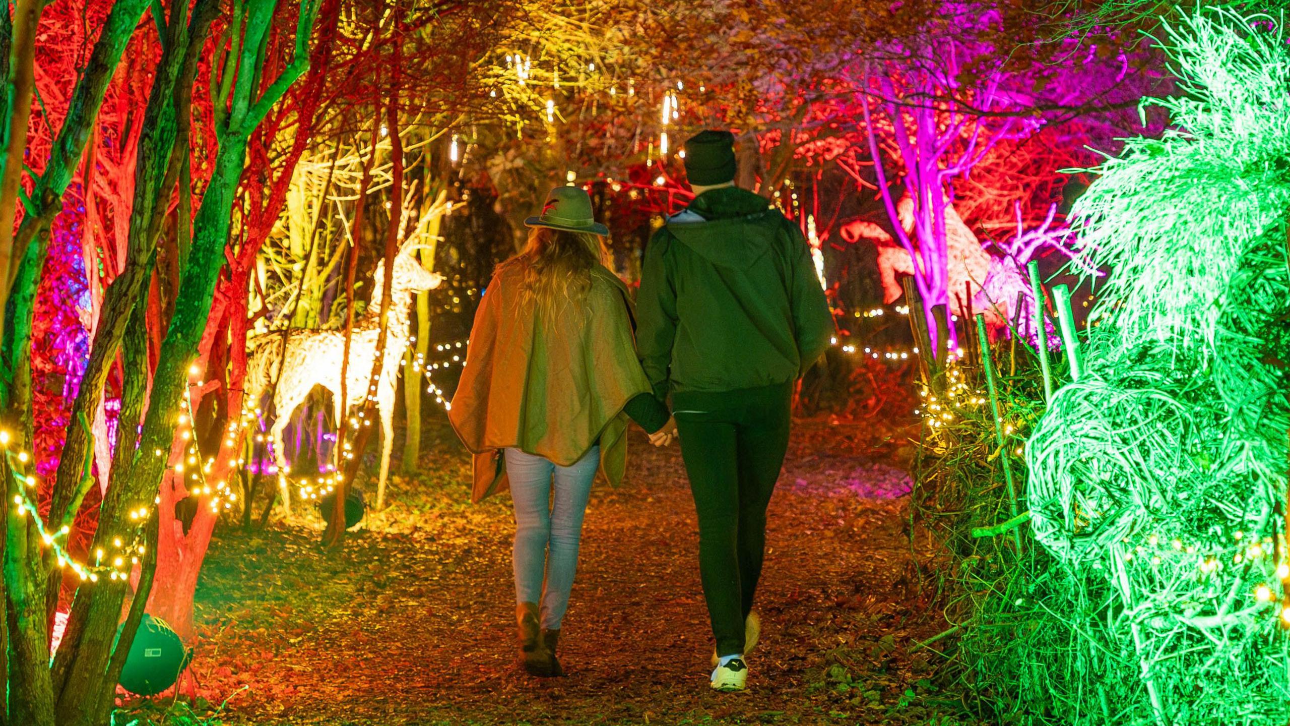 A lit up tree-lined walkway with pink/green/yellow lights and a couple walking between it 