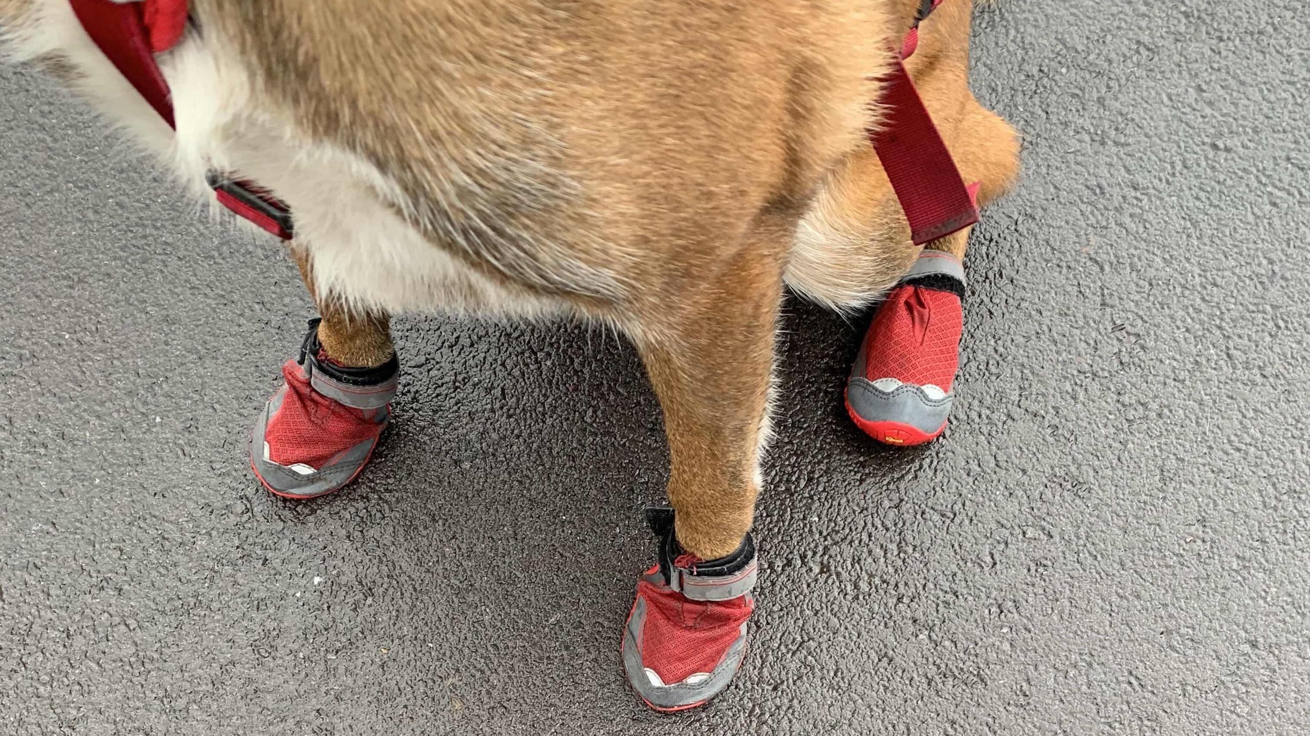 Kai's feet