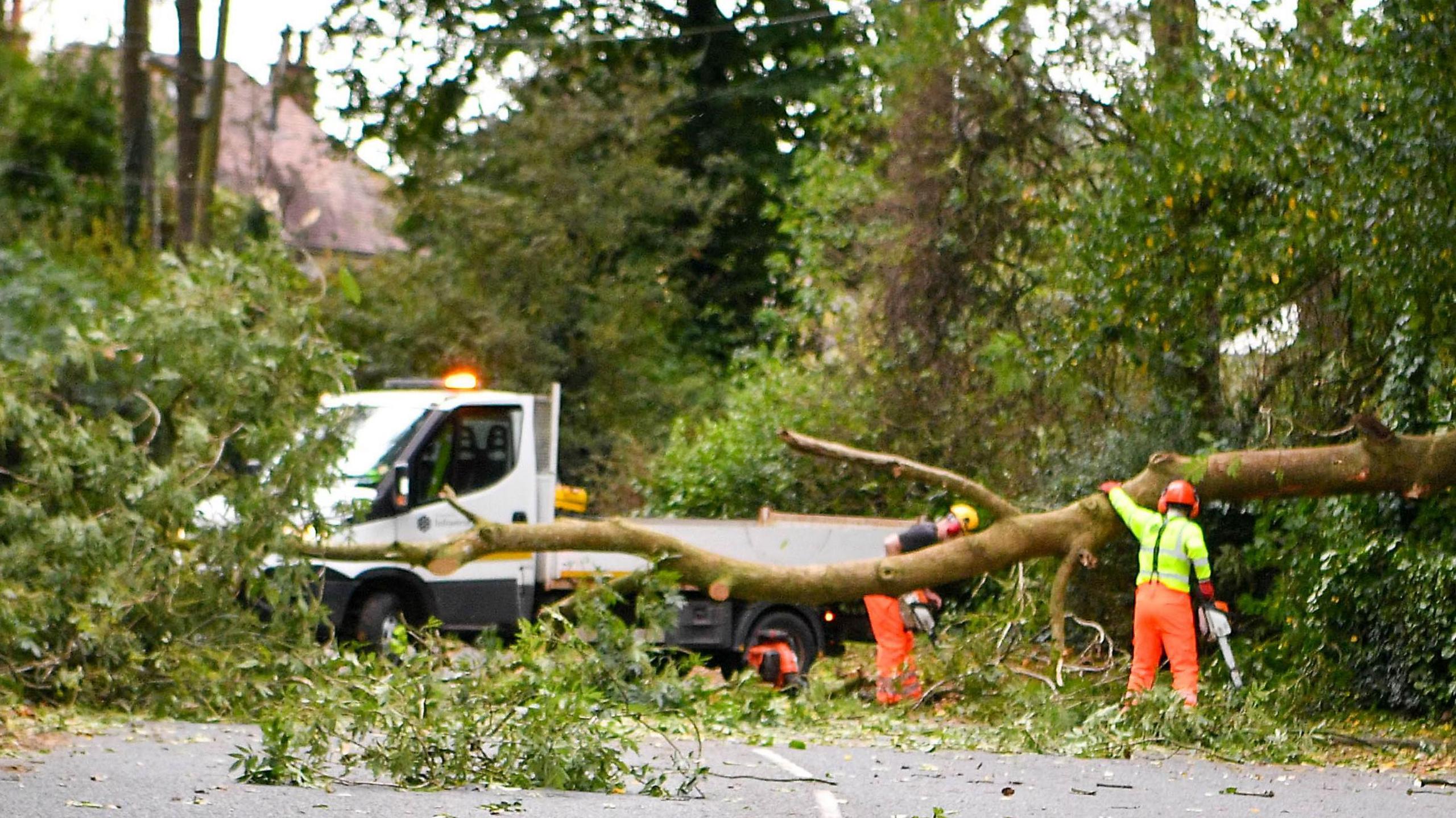 A tree has fallen and is blocking access to a road. There is a white lorry with hazard lights on. A man in high visability clothing and safety gear is using a chainsaw to remove the felled tree