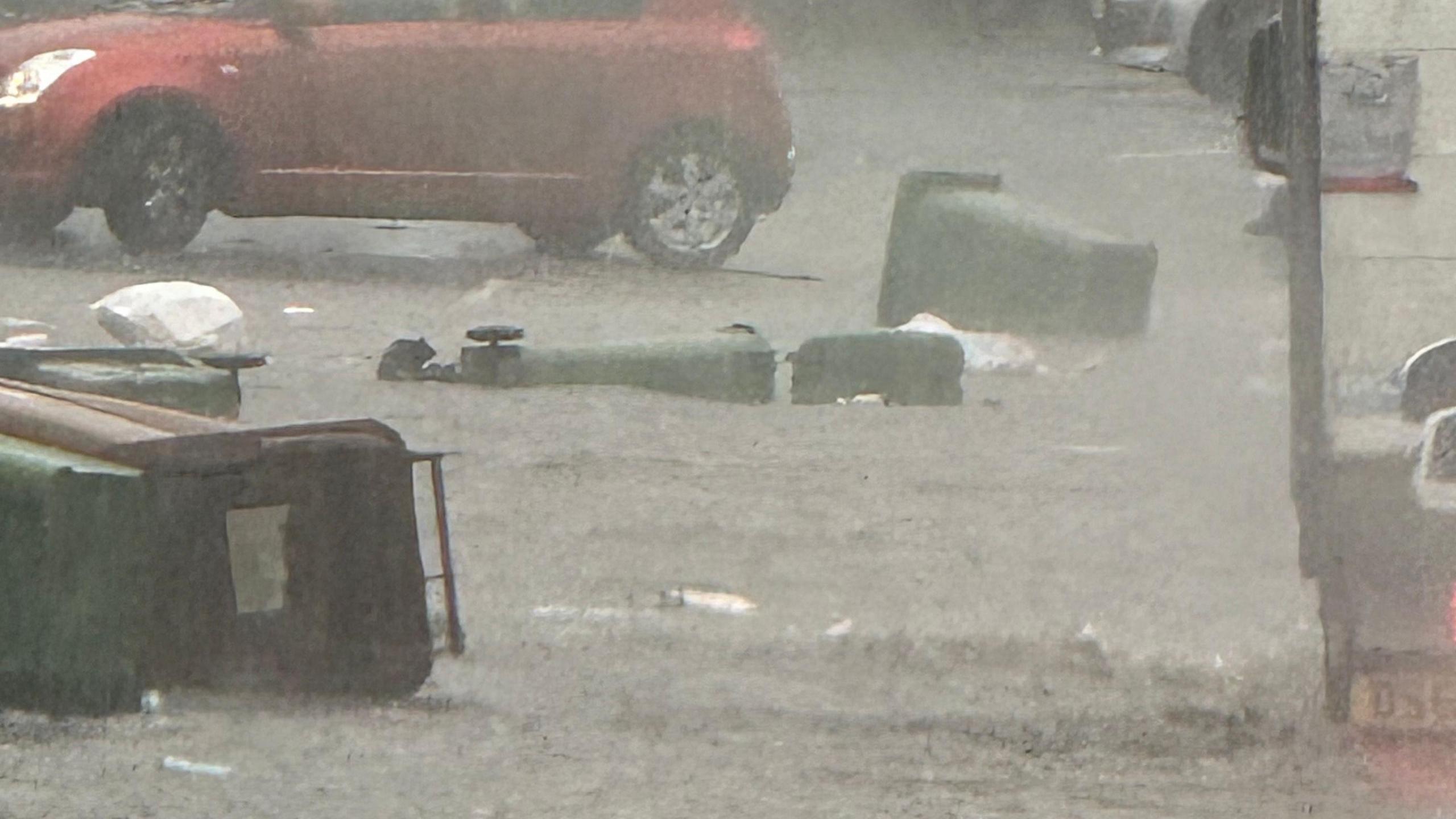 Bins have fallen into flood water on a road in Plymouth. A red car is travelling past the floating bins. Heavy rain is pouring down.