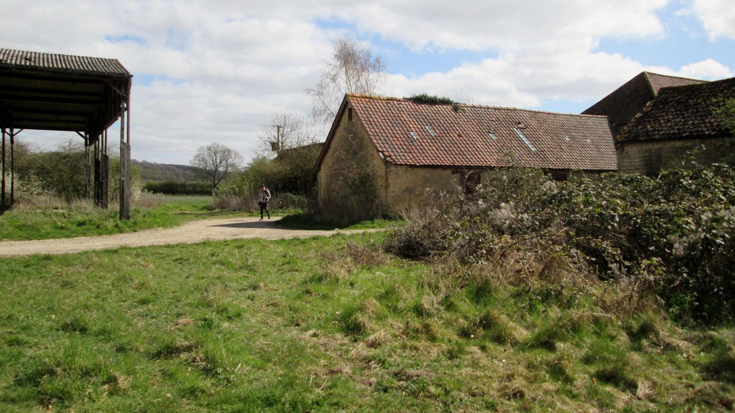 Disused farm buildings in long green grass and overgrown brambles.