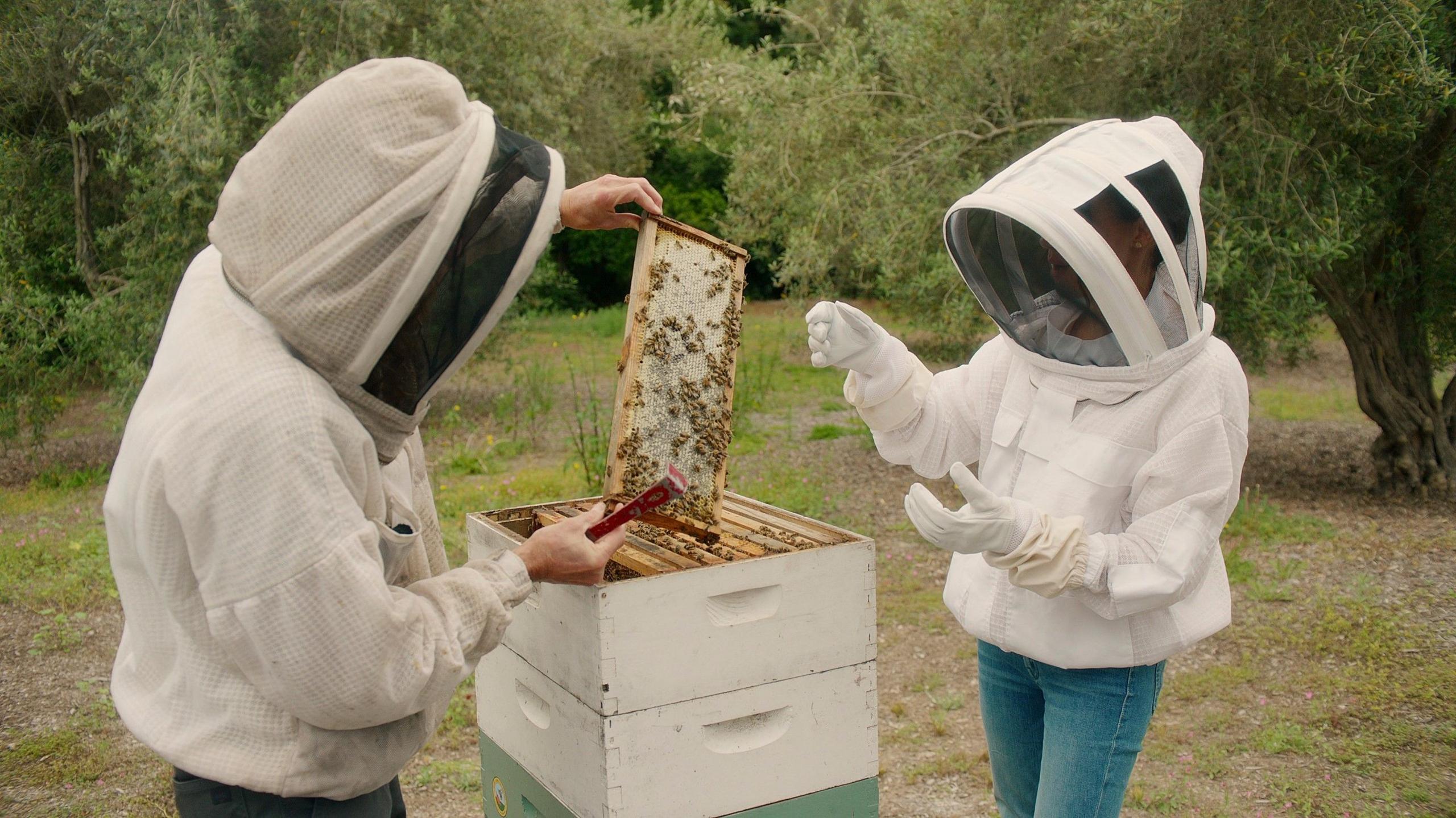 Meghan trying her hand at beekeeping