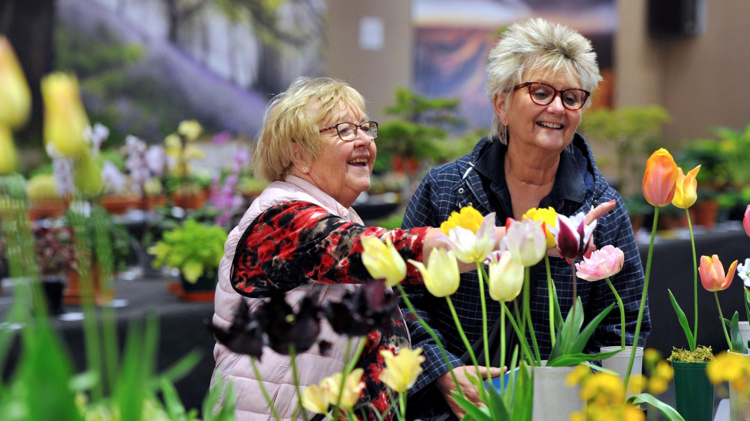 The 2023 RHS Malvern Spring Festival 