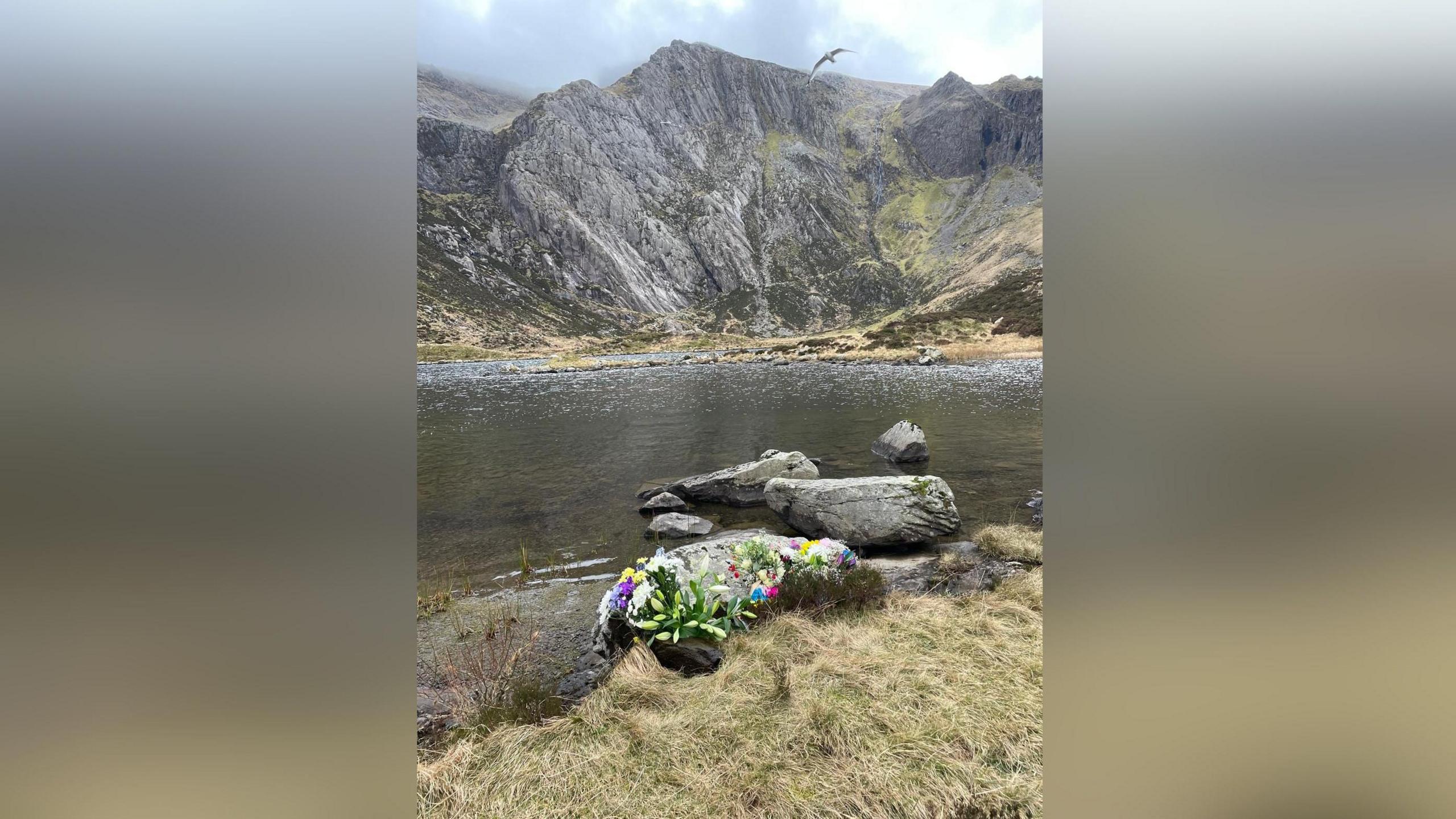 Mae blodau gwyn, pinc a glas yn gorwedd wrth ymyl llyn clir ymhlith mynyddoedd