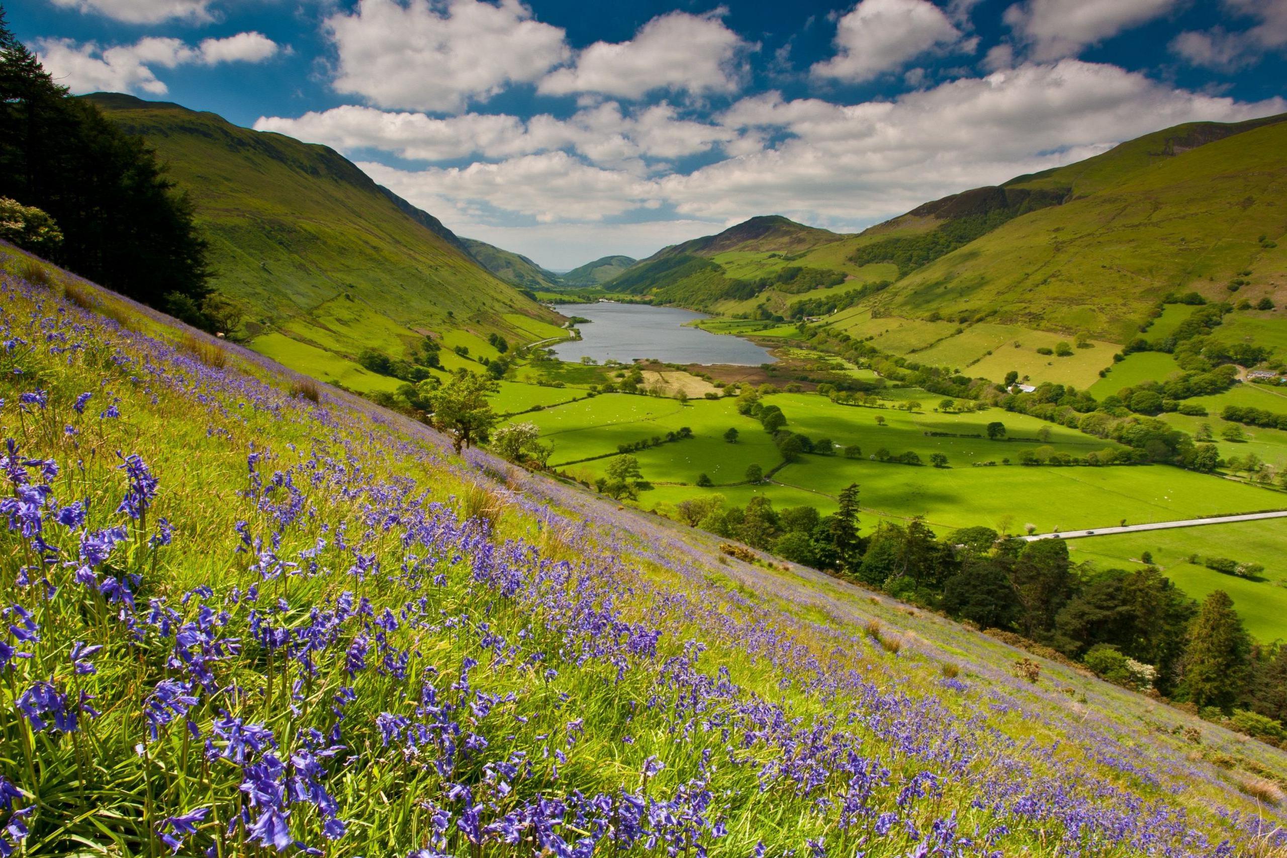 Tal y Llyn
