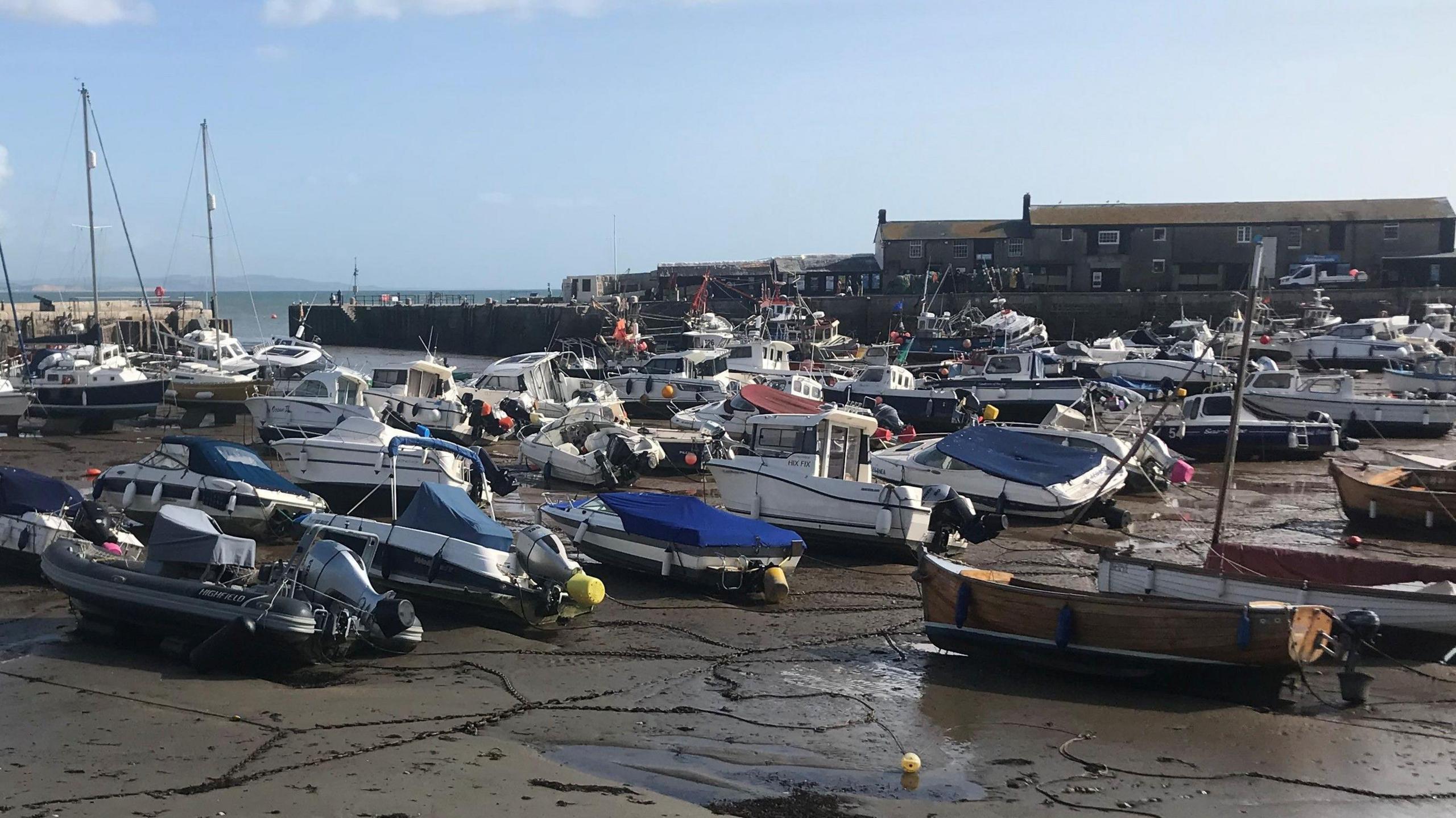 Scores of small boats sit on the wet sand in Lyme Regis Harbour where the tide is out. The Cobb stone harbour wall stretches across the back of the picture with the sea just about visible through the harbour entrance. On top of the harbour wall is a long two-storey building with a pitched roof.