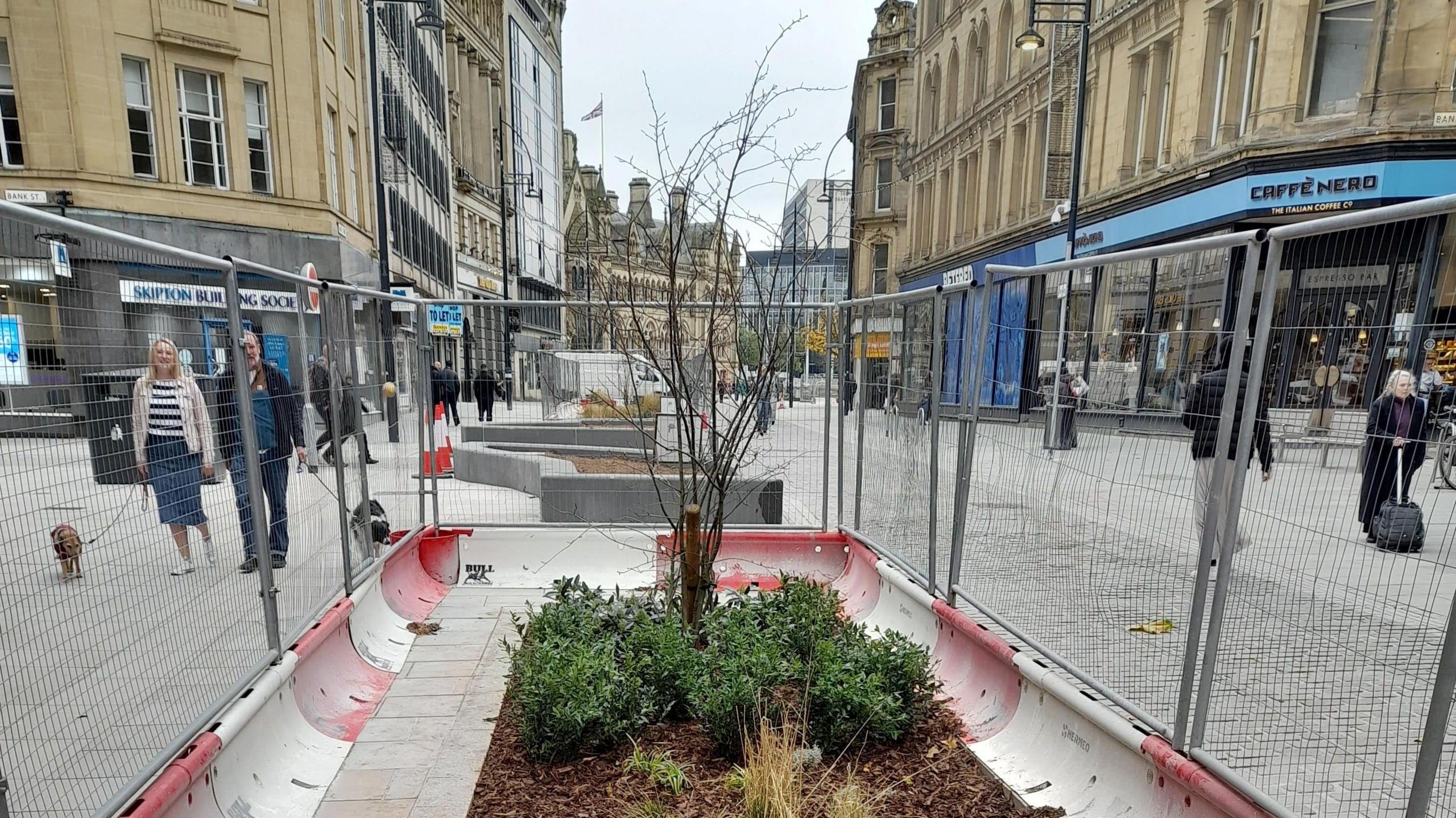 A fenced-off area with a red and white bollard base and green plants surrounding a small tree in a brown soil bed. The area is surrounded by stone buildings.