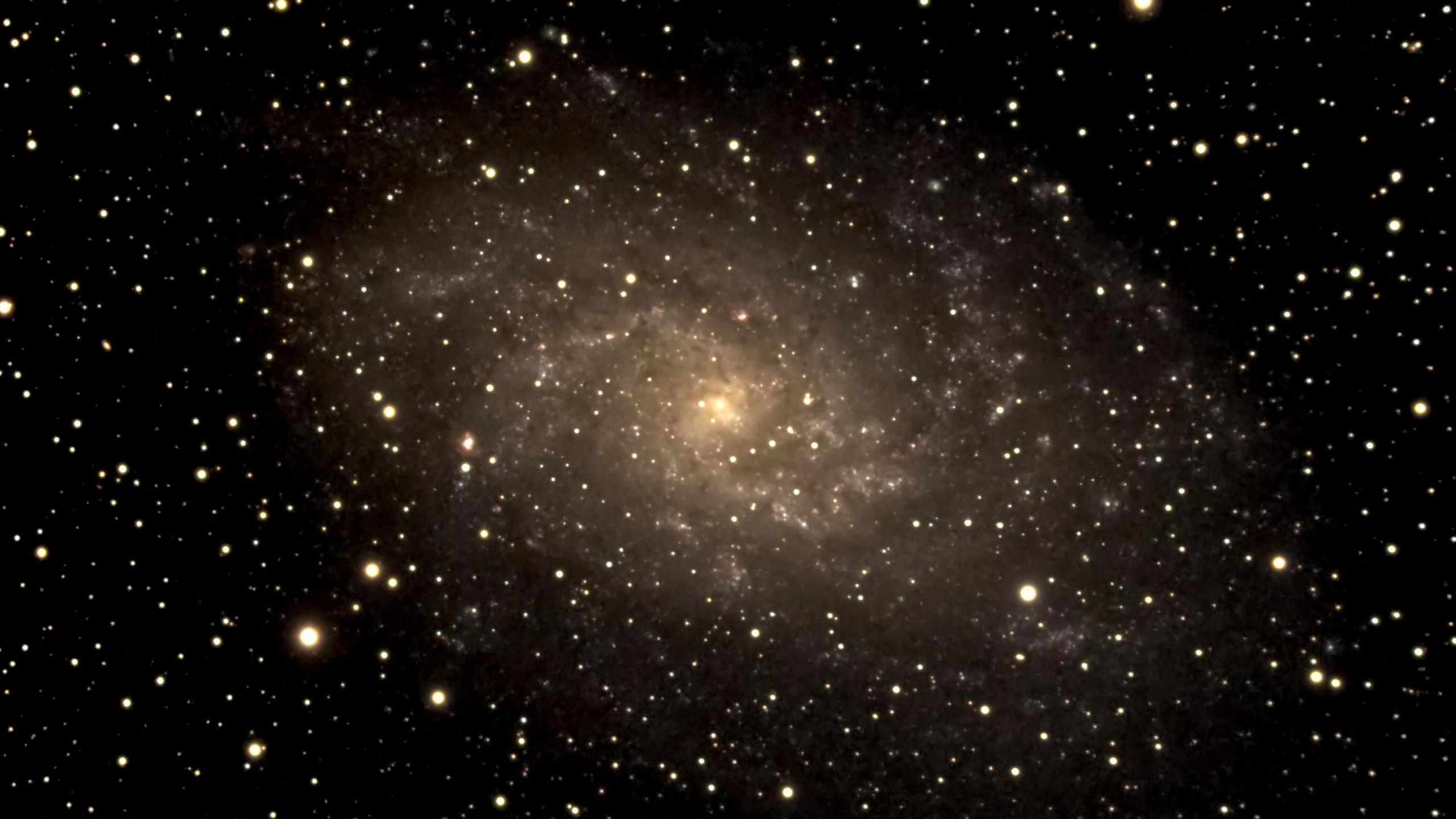 Triangulum galaxy