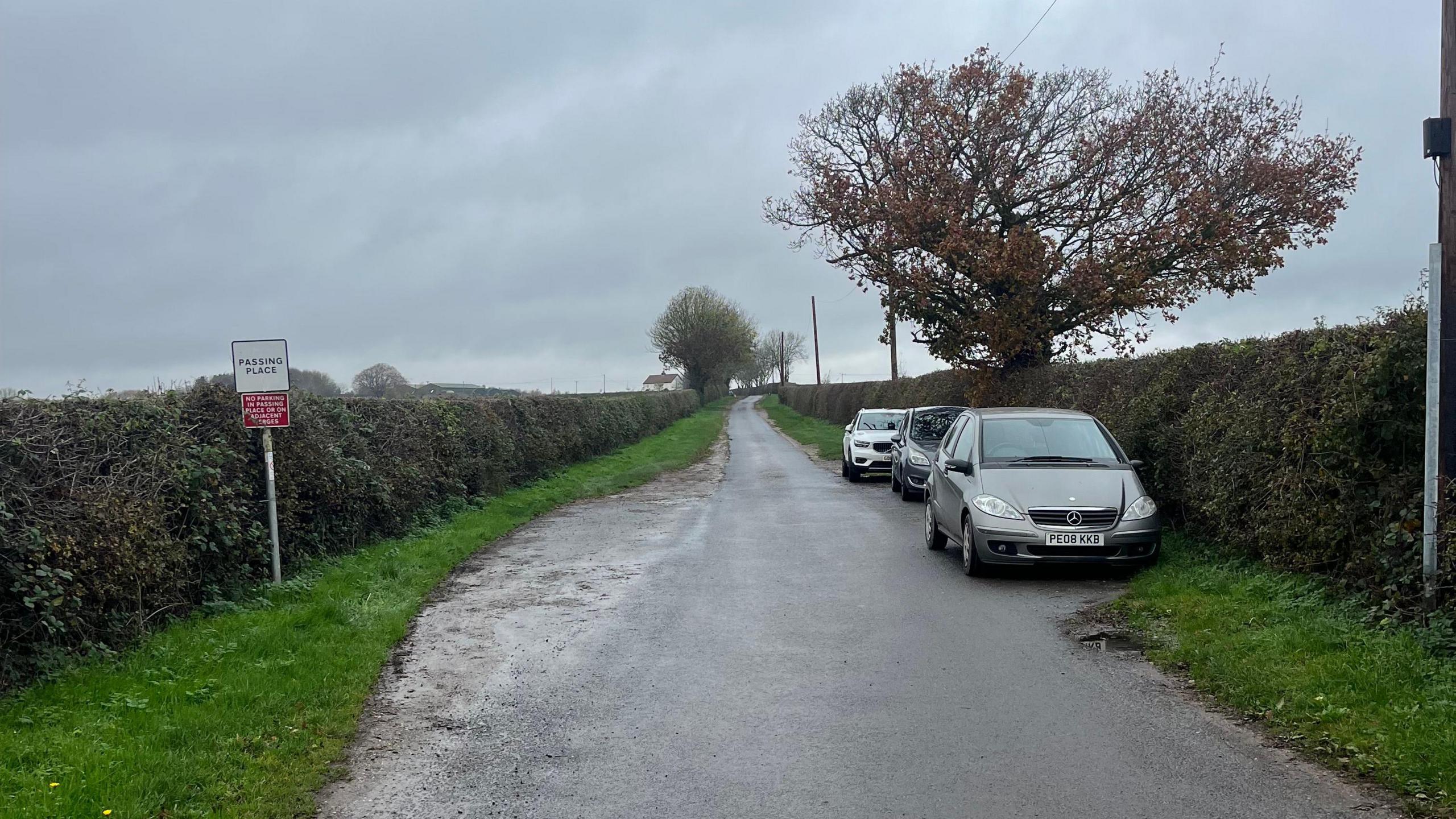 A single-track road can be seen with two hedges running along each side. There is a passing place on either side of the track with a few vehicles parked on the right.