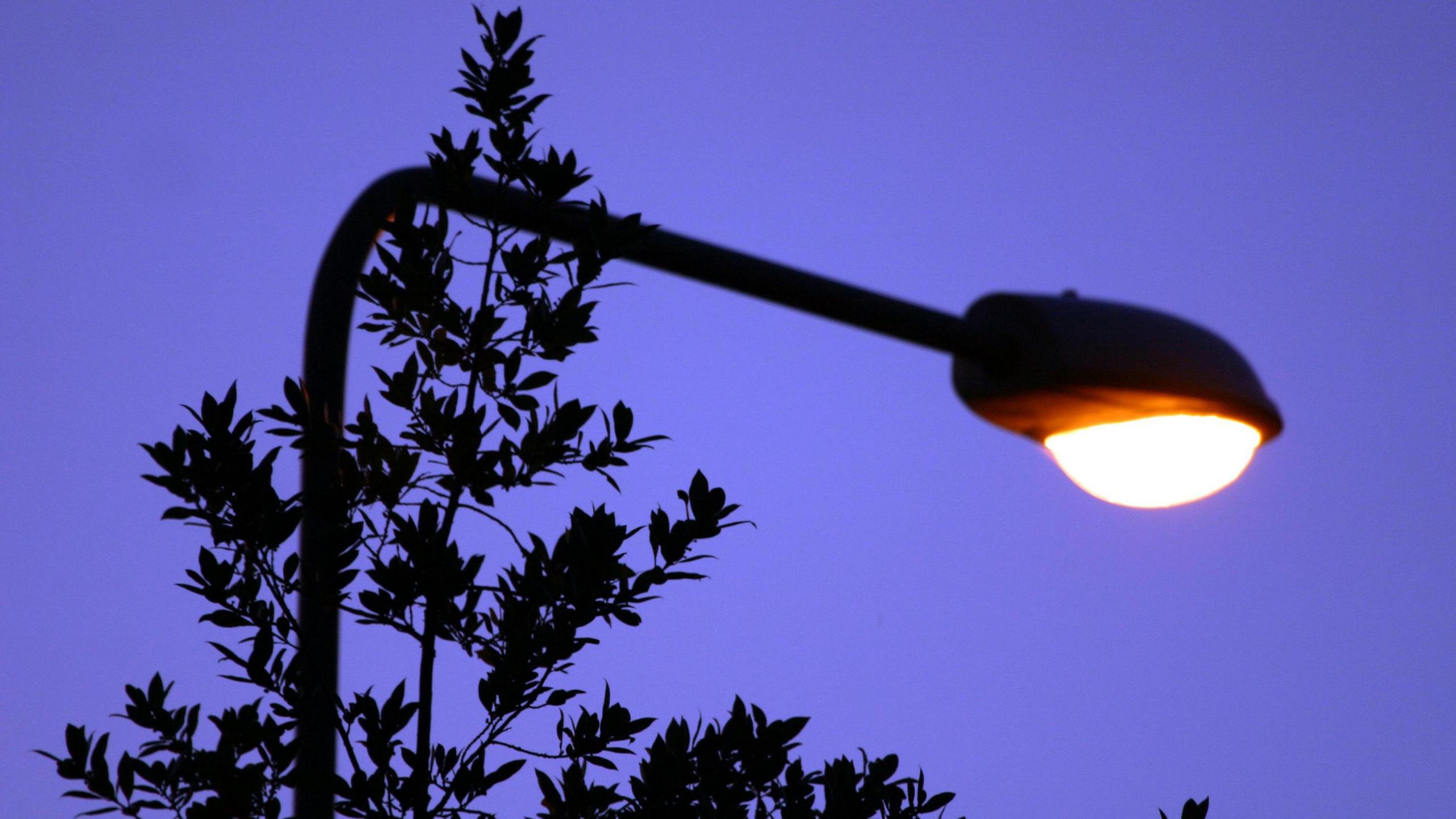A street light in front of a tree