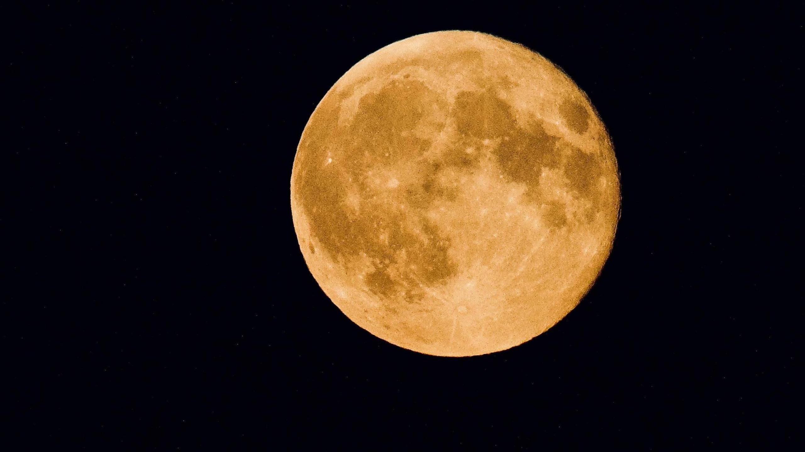 A bold, orange-coloured moon in the sky. There is a black background on this image. 