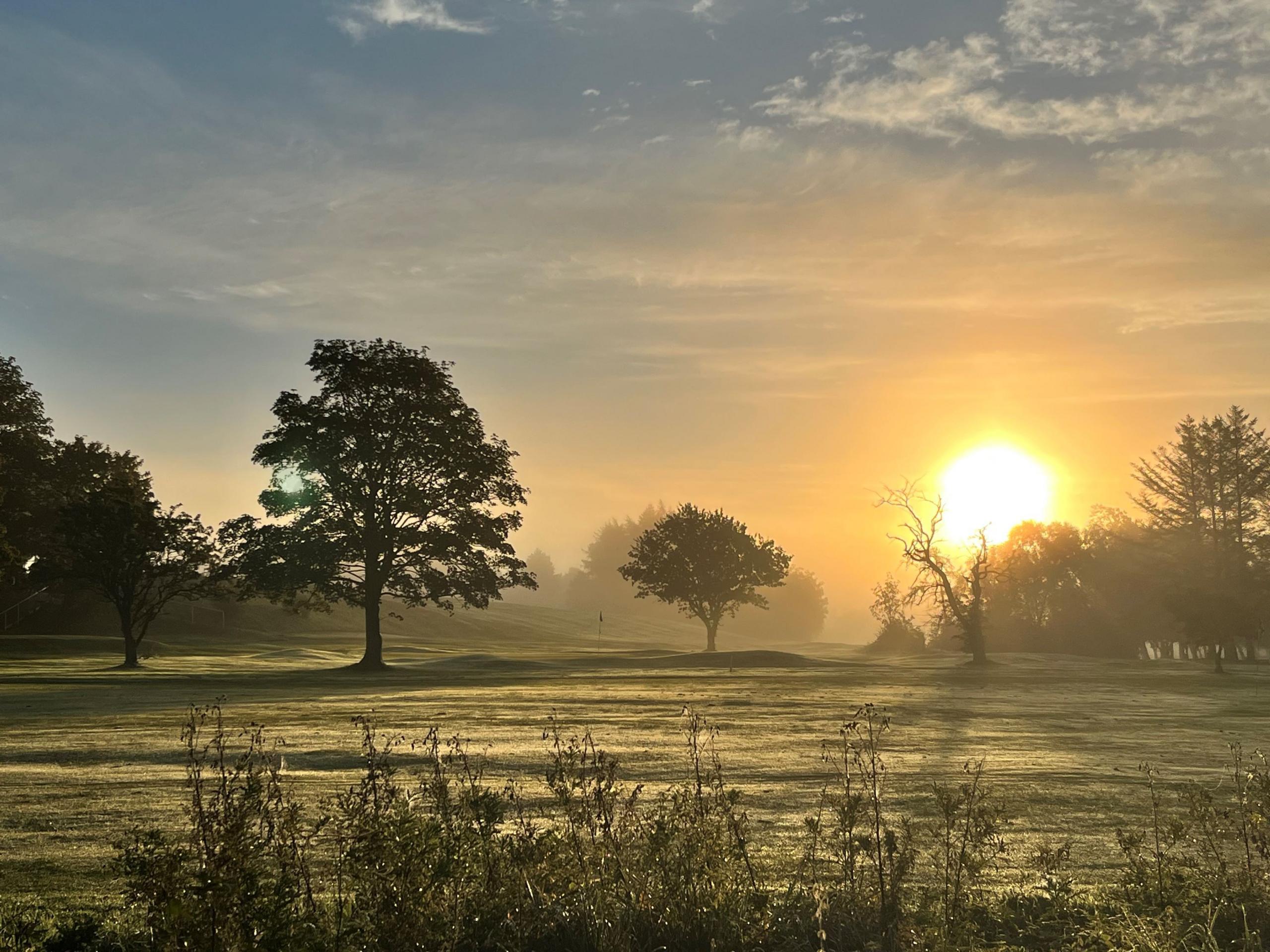An image captures the peaceful essence of early morning - a tranquil landscape bathed in the warm, golden light of sunrise. Scattered trees sit across a grassy field, with a gentle mist or fog in the distance enhancing the serene mood.