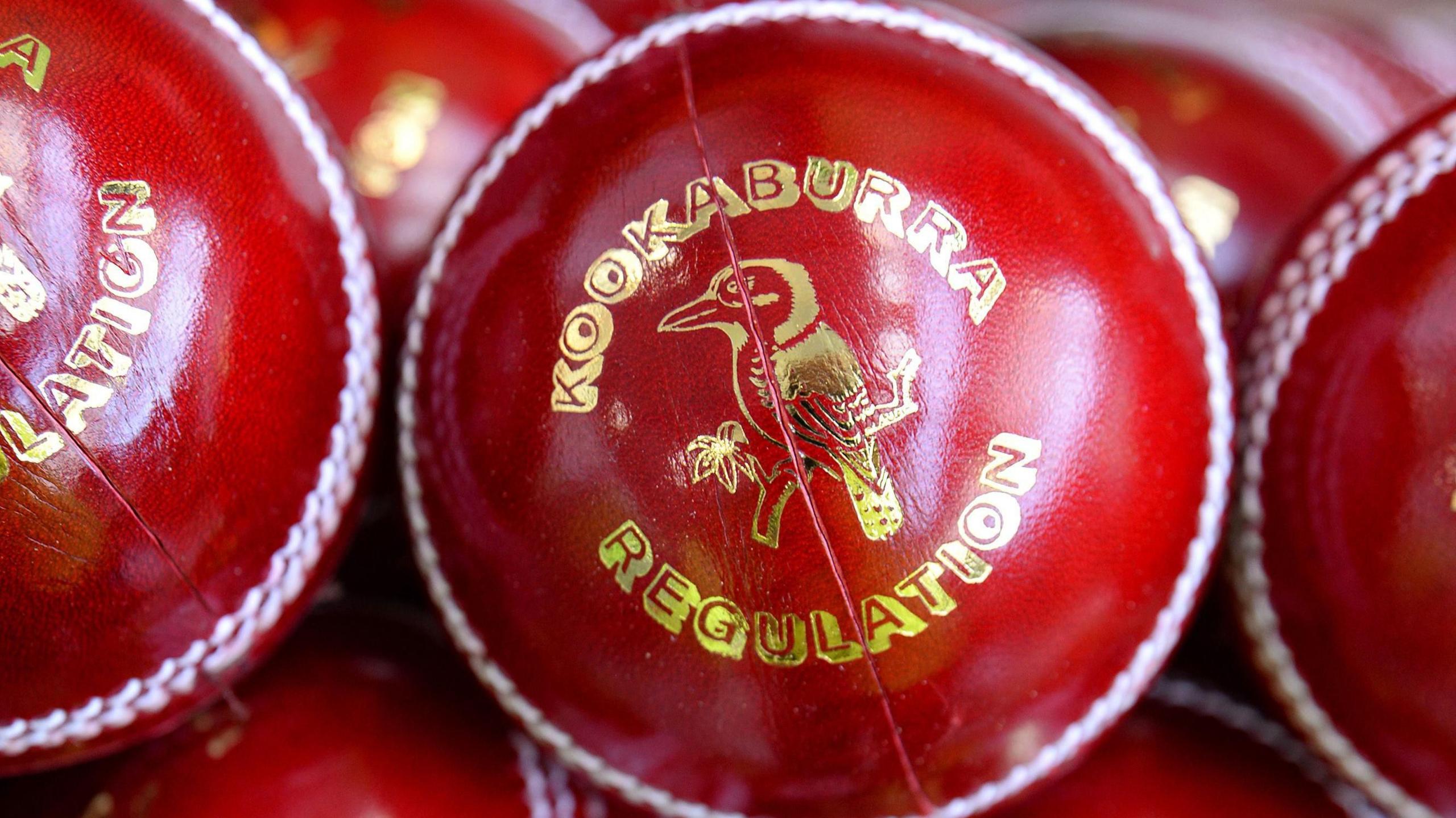 Kookaburra cricket balls