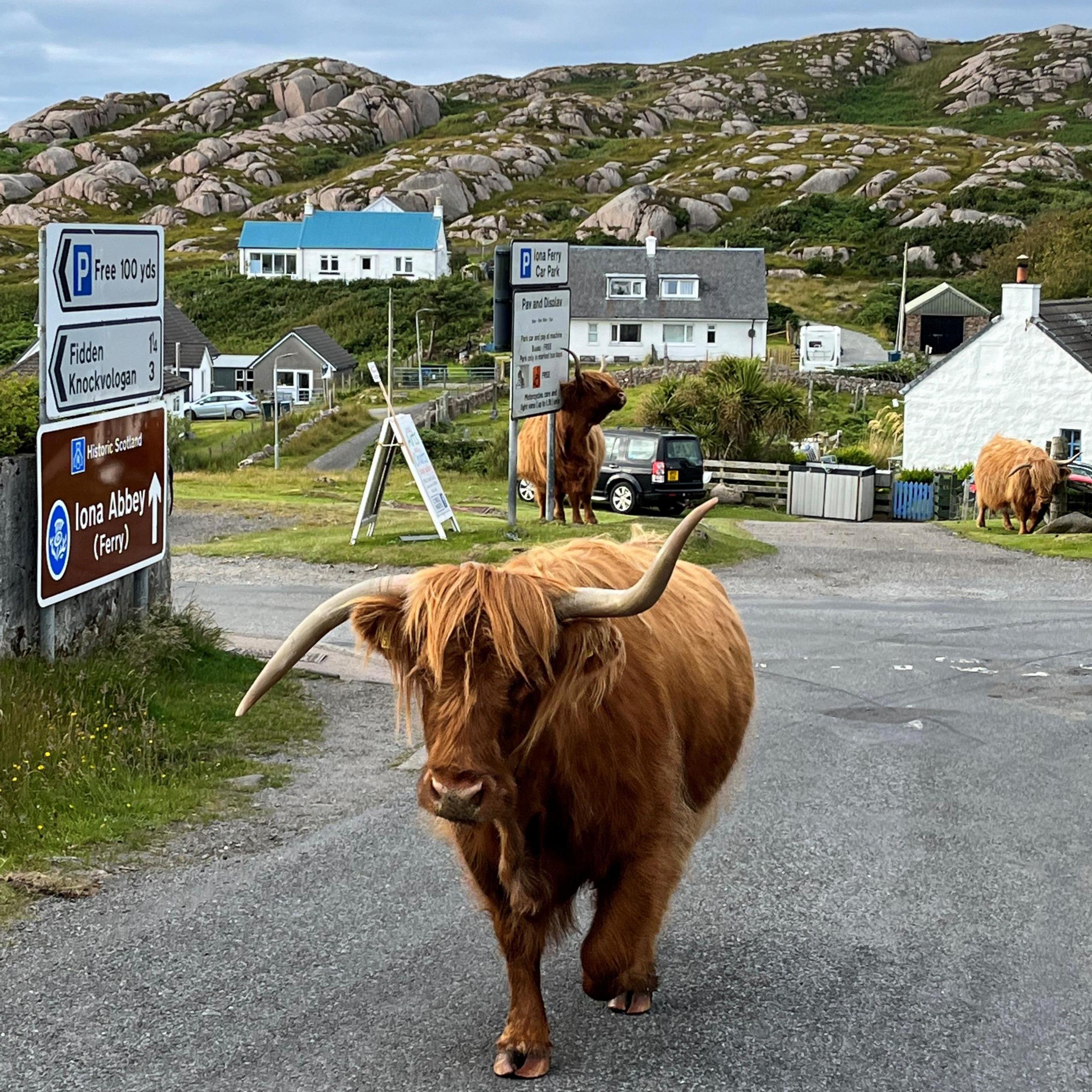 Fionnphort,  Isle of Mull