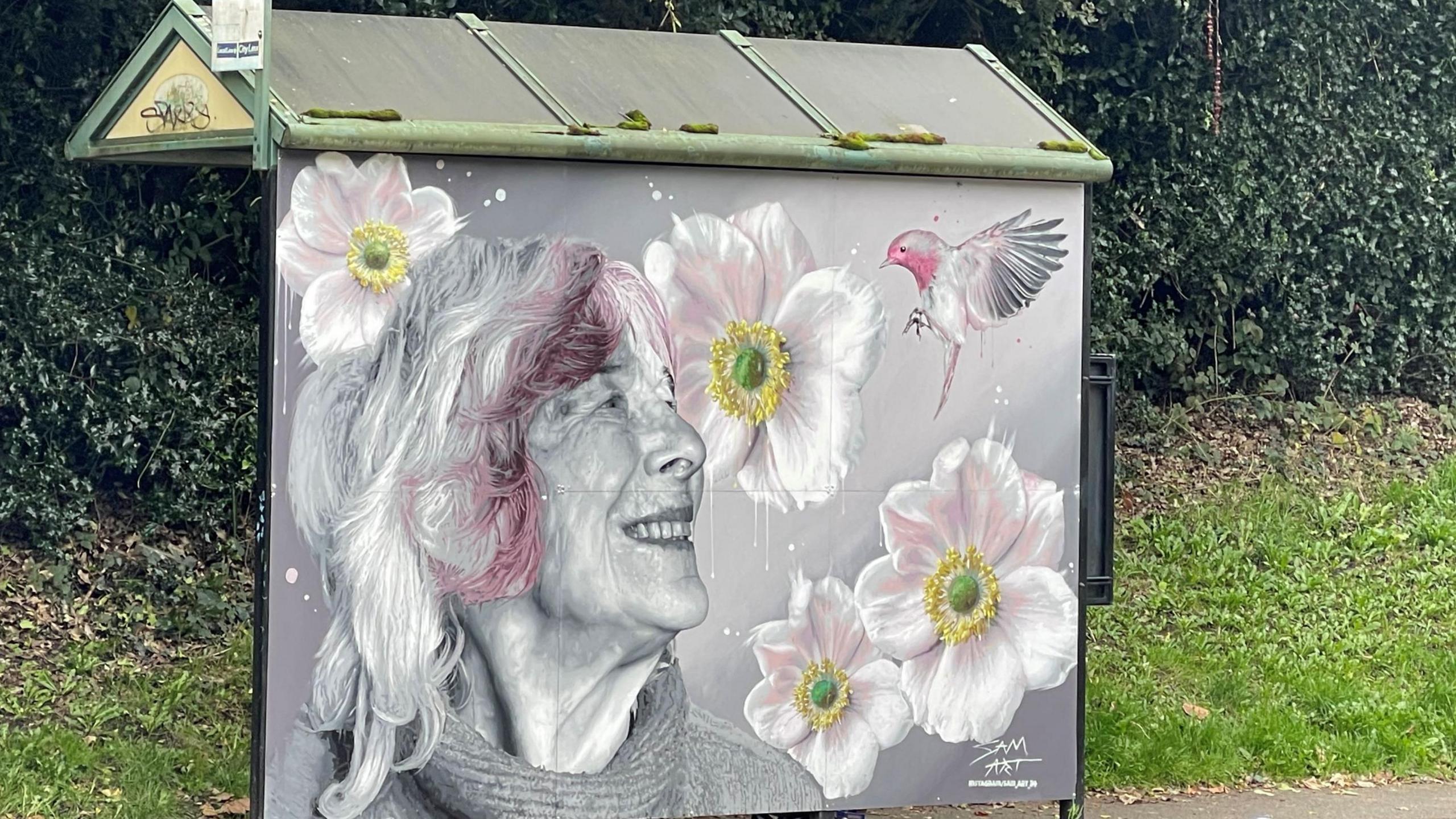 A bus shelter with a painting of a woman with grey hair with pink at the front who is smiling and surrounded by four white and pink flowers with yellow and green centres and a bird. 