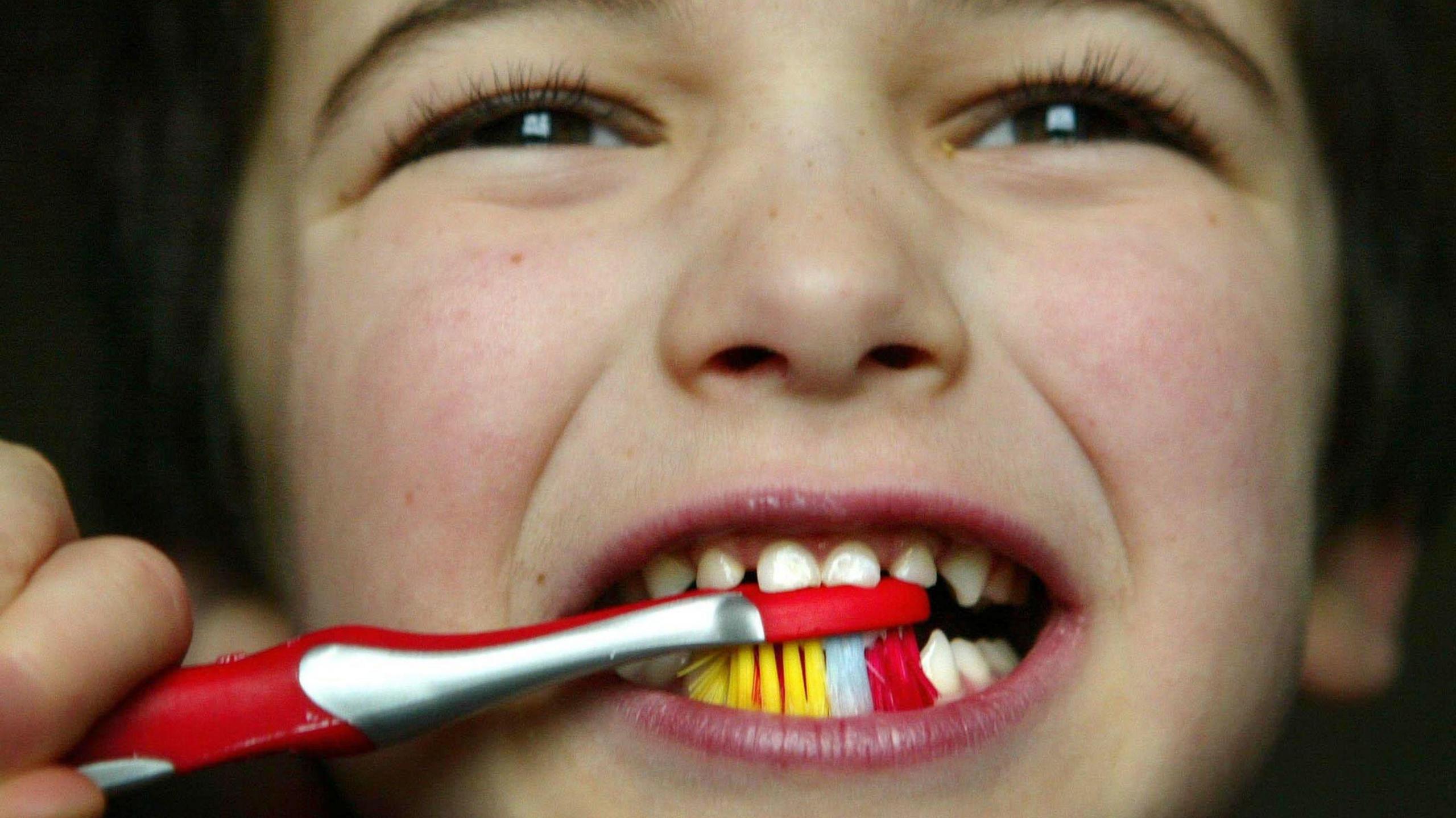  A young child brushing his teeth. The young boy has brown hair and brown eyes. He is holding a red and yellow tooth brush between his teeth.