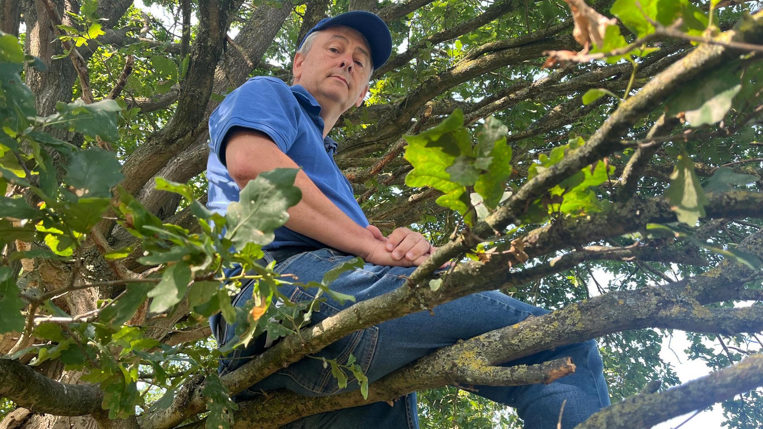 Epsom & Ewell FC fan Richard Lambert sitting in a tree, legs facing to the right over a branch was hands folded in his lap, wearing a blue cap, blue polo shirt and blue jeans