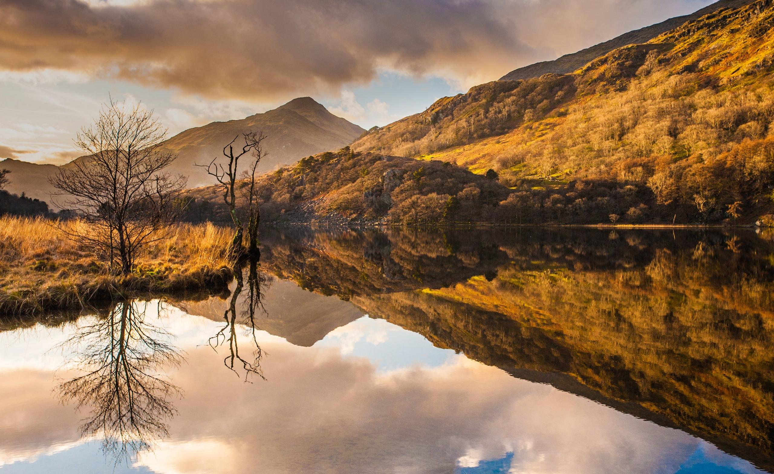 Llyn Gwynant