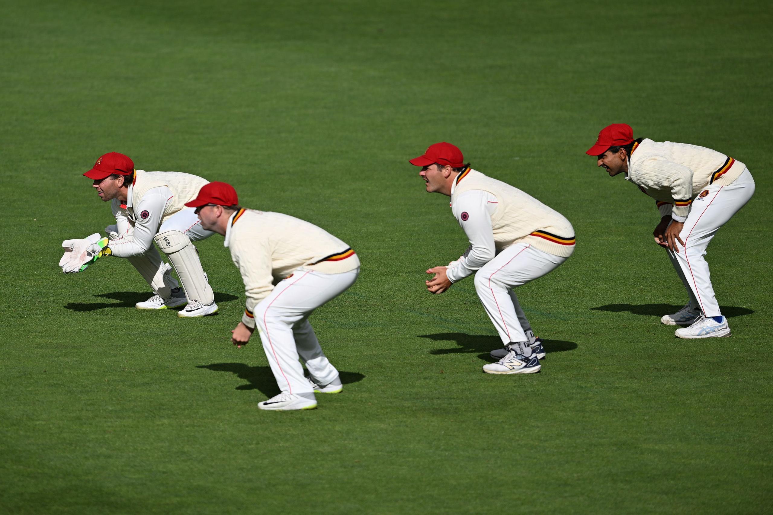 Redbacks players field in the slips during the Sheffield Shield match between Tasmania and South Australia at Blundstone Arena in Hobart