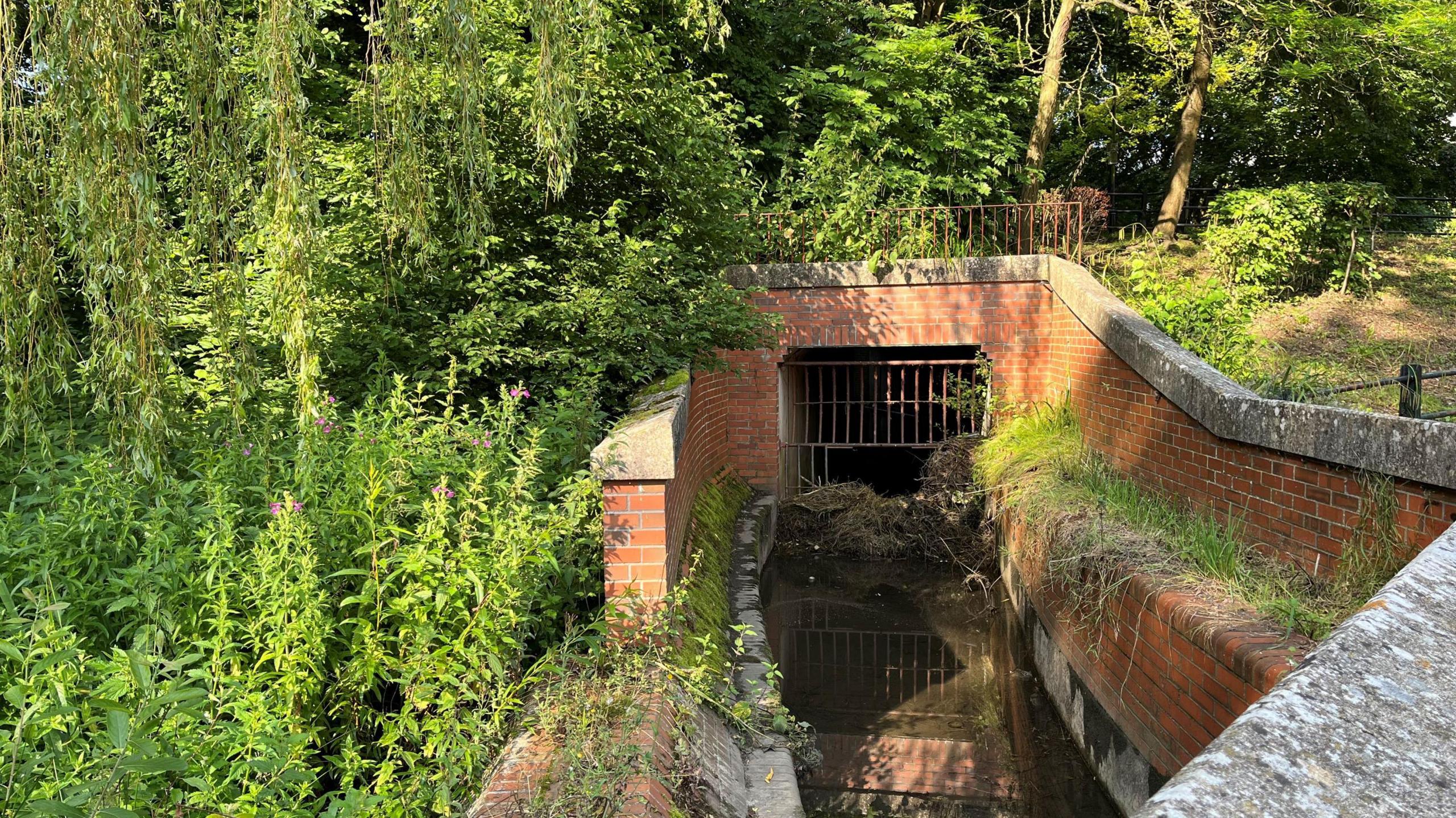 A stream inside bricked walls with vegetation around