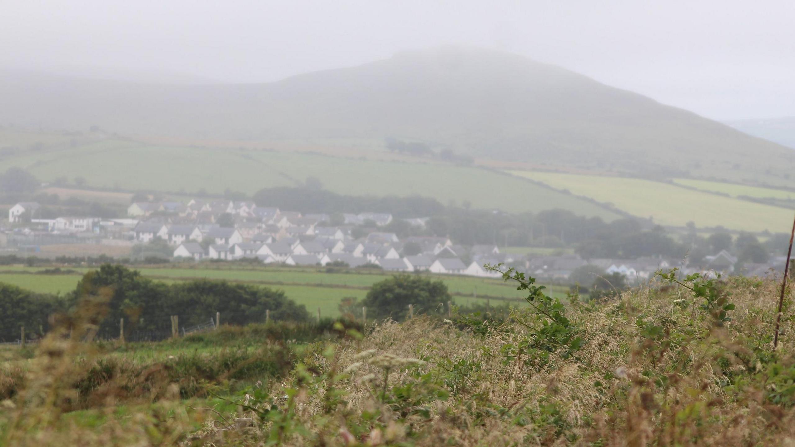 A field full of long grass and brambles in the foreground, with fence and more fields behind. Houses can be seen in the background with a misty hill in the distance.