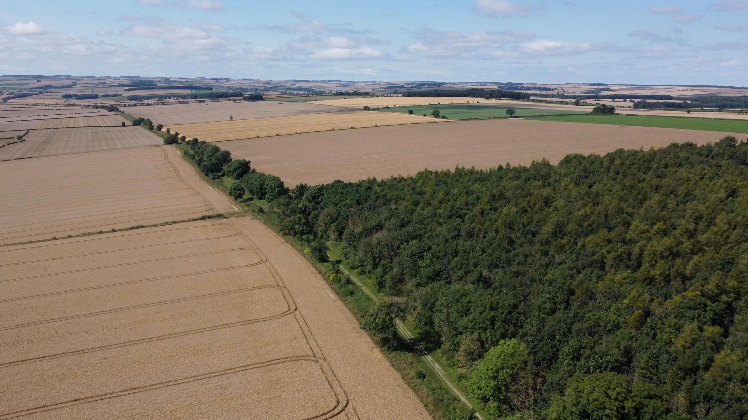 A landscape shot from above on a sunny day, a patchwork of fields and woodland. 